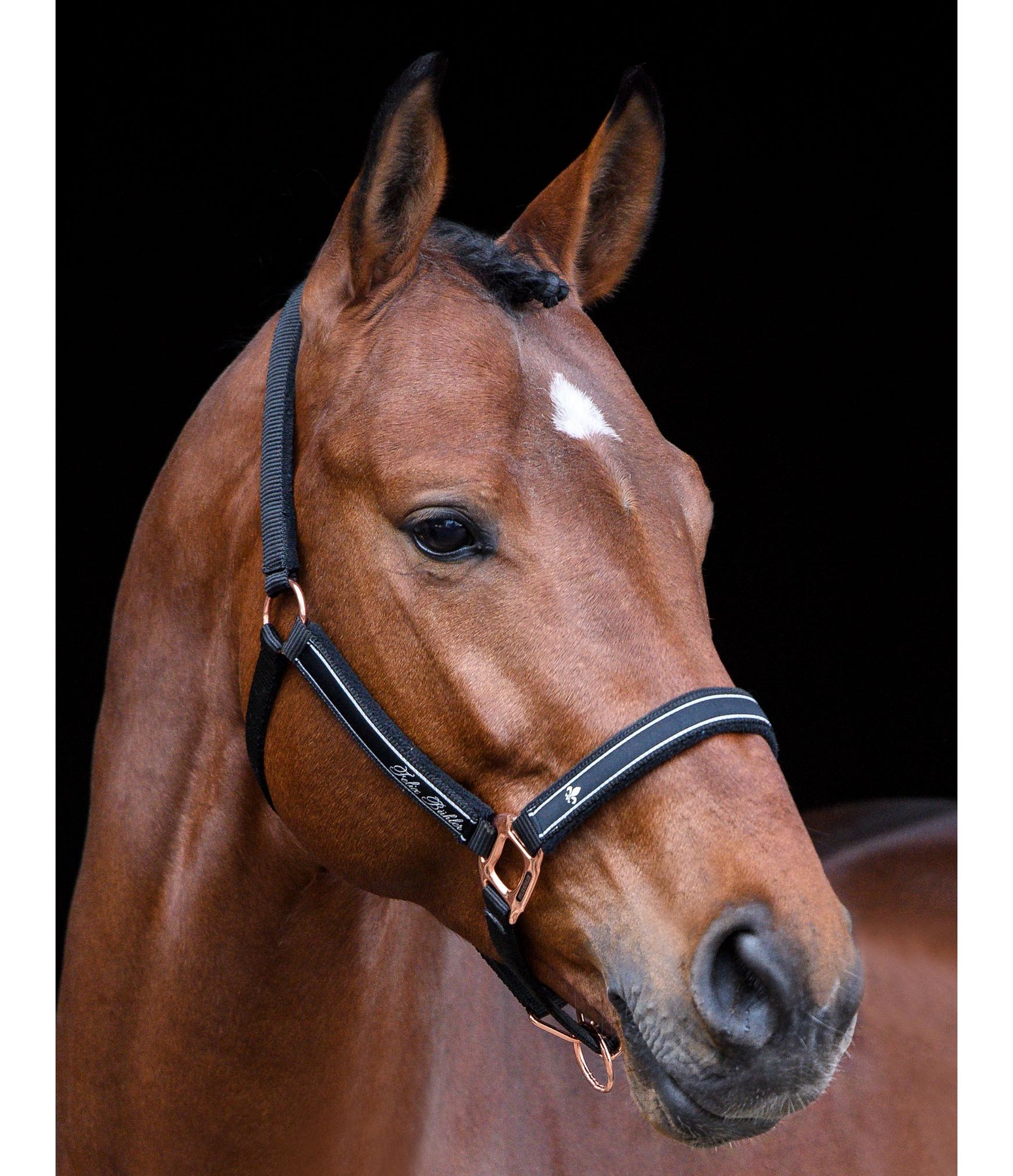 Headcollar Glamorous