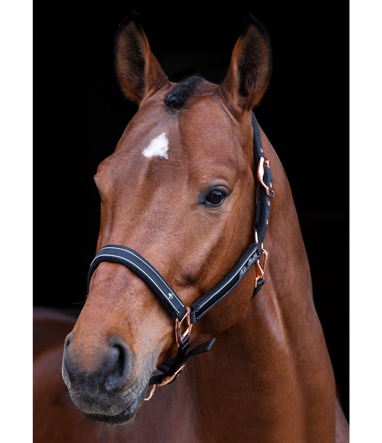 Headcollar Glamorous