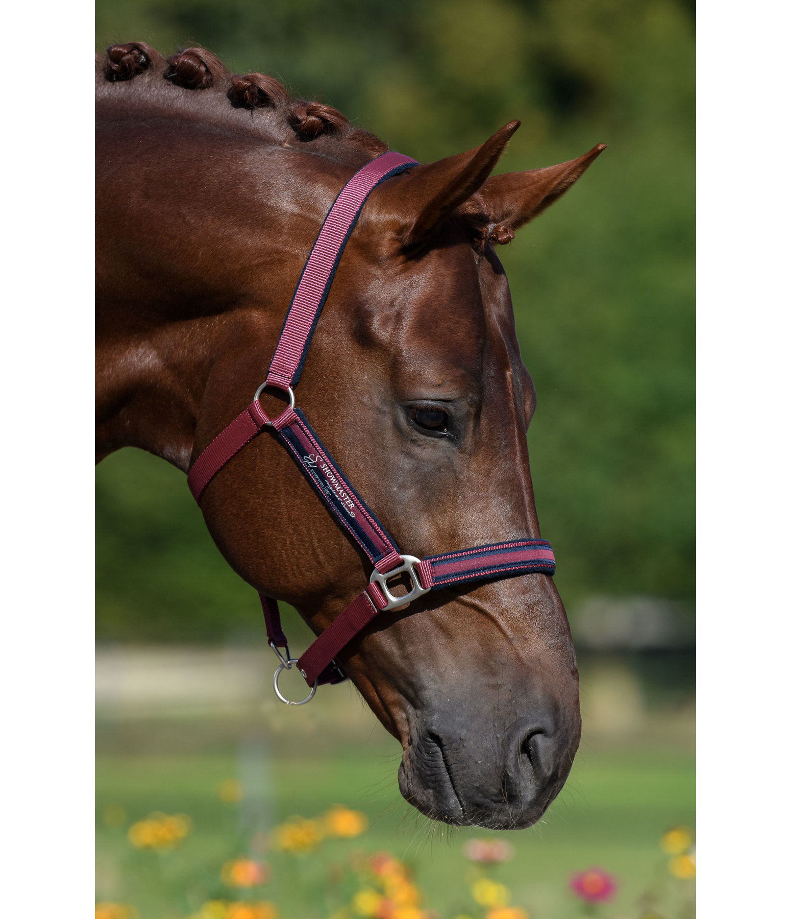 Headcollar Twotone