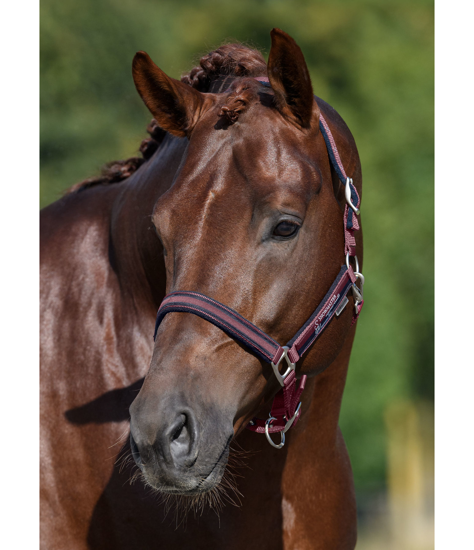 Headcollar Twotone