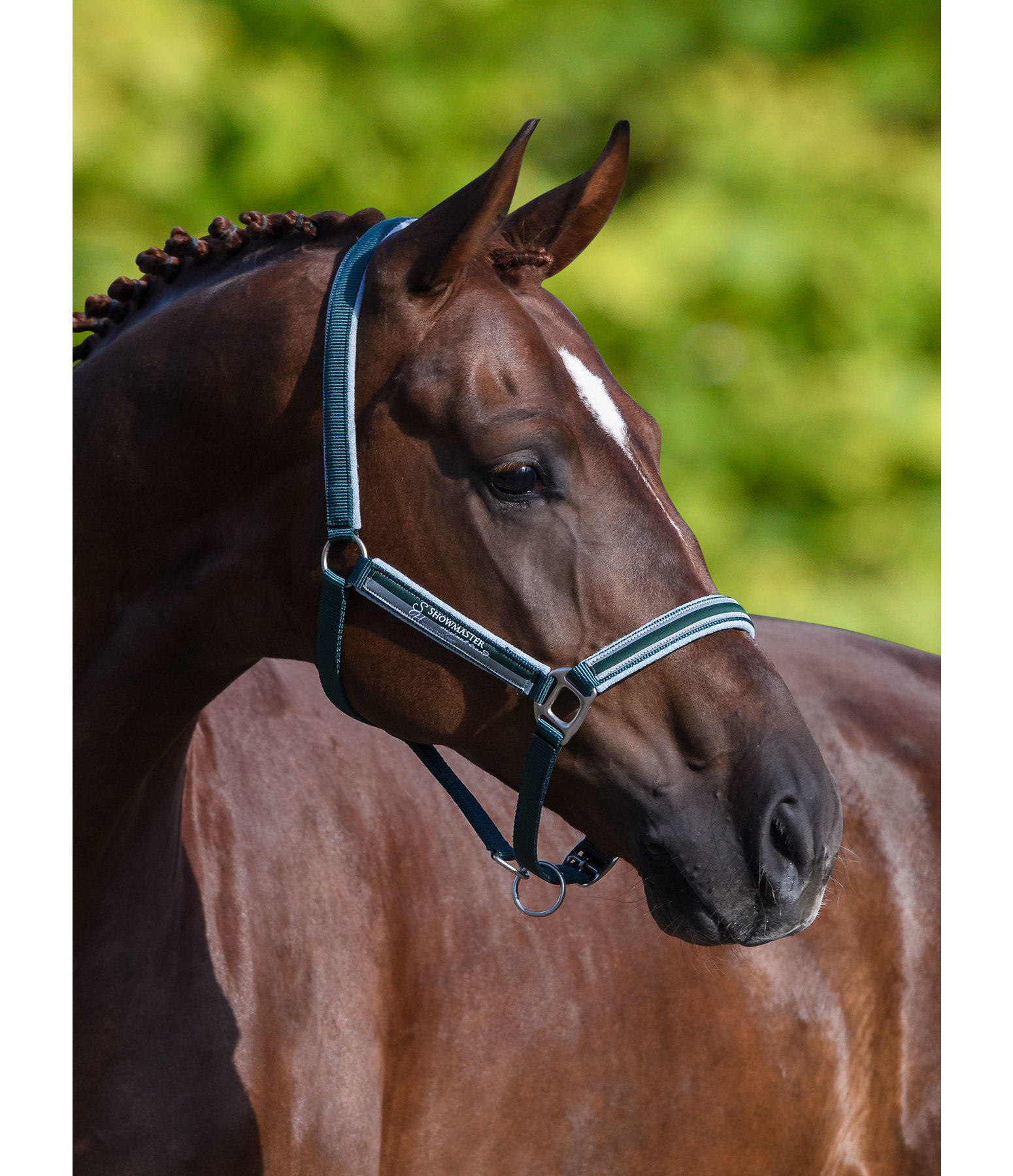 Headcollar Twotone