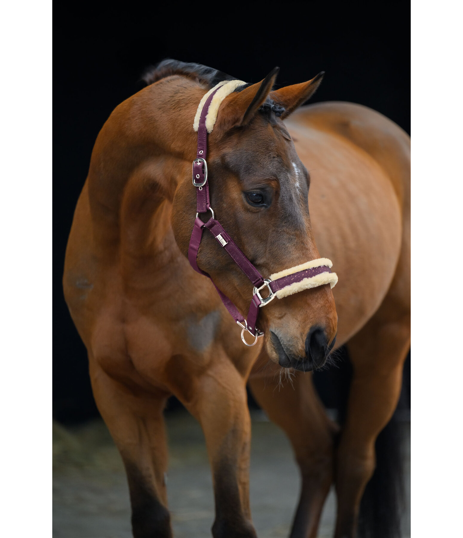 Headcollar Sparkling II
