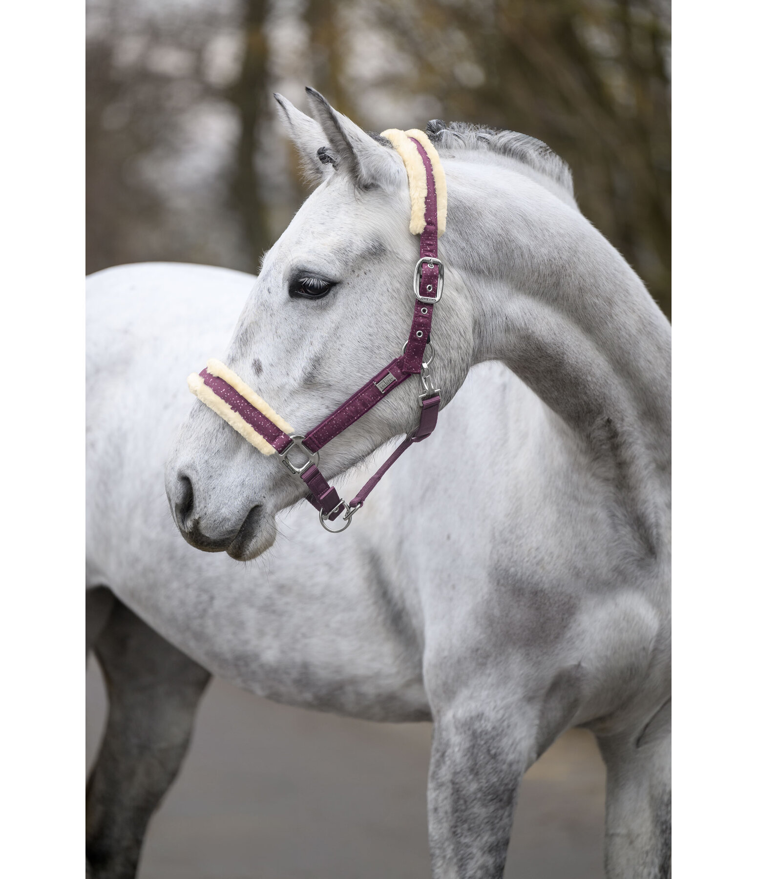 Headcollar Sparkling II