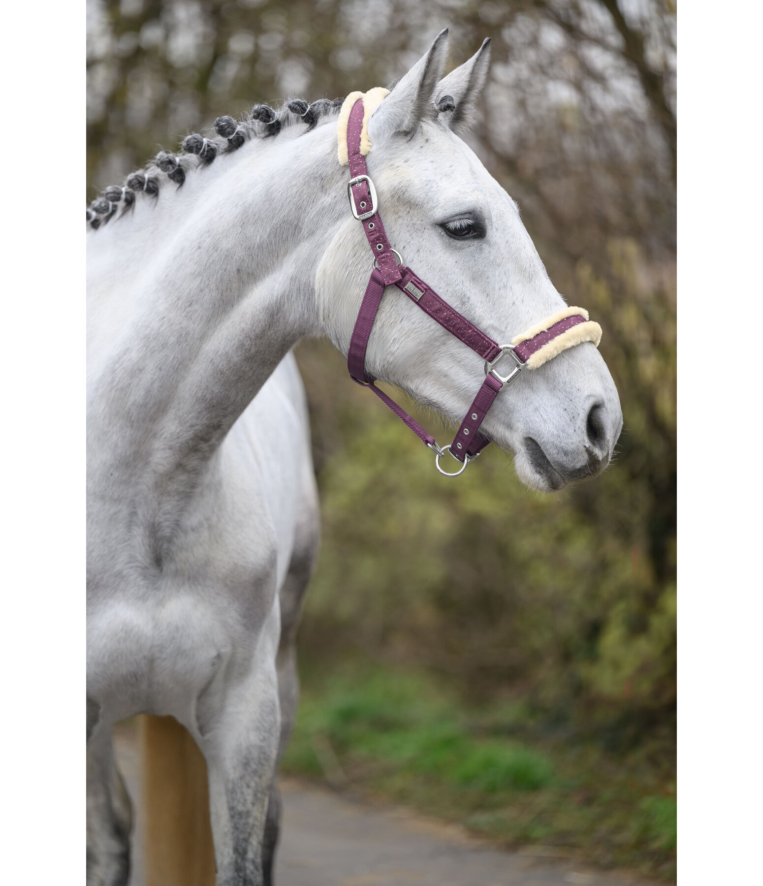Headcollar Sparkling II