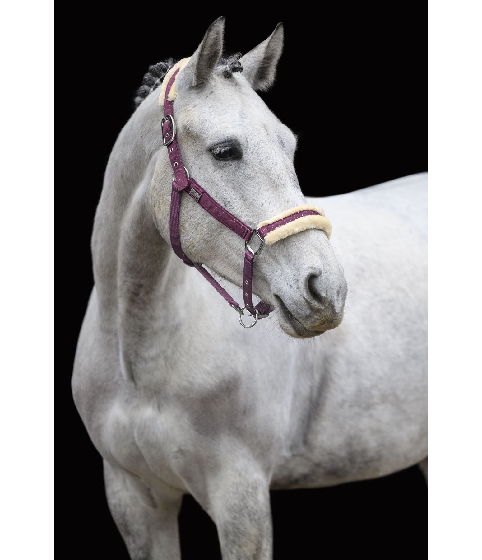 Headcollar Sparkling II