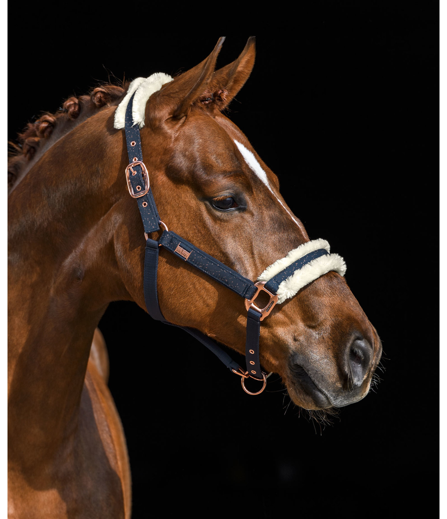 Headcollar Sparkling II