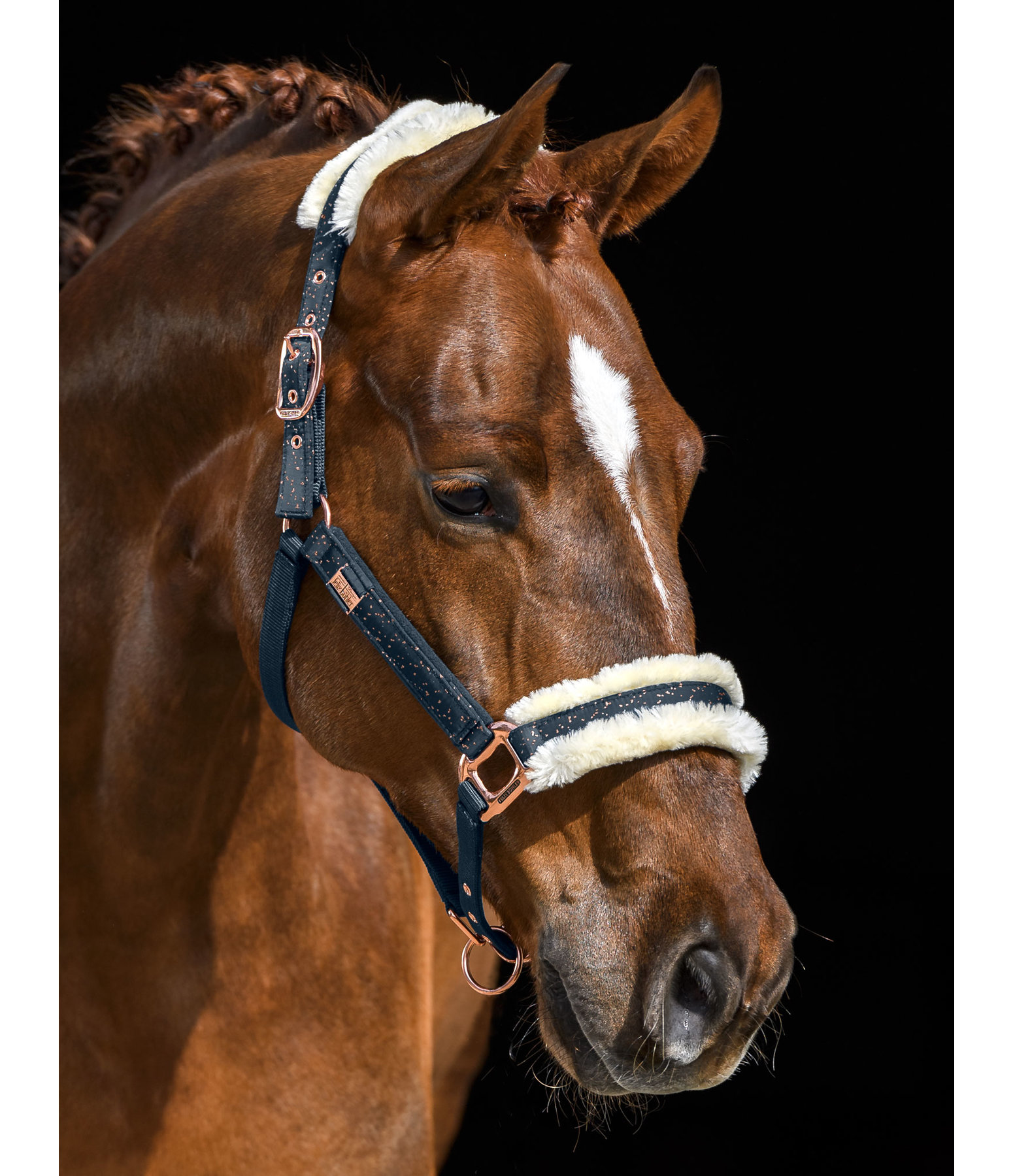 Headcollar Sparkling II