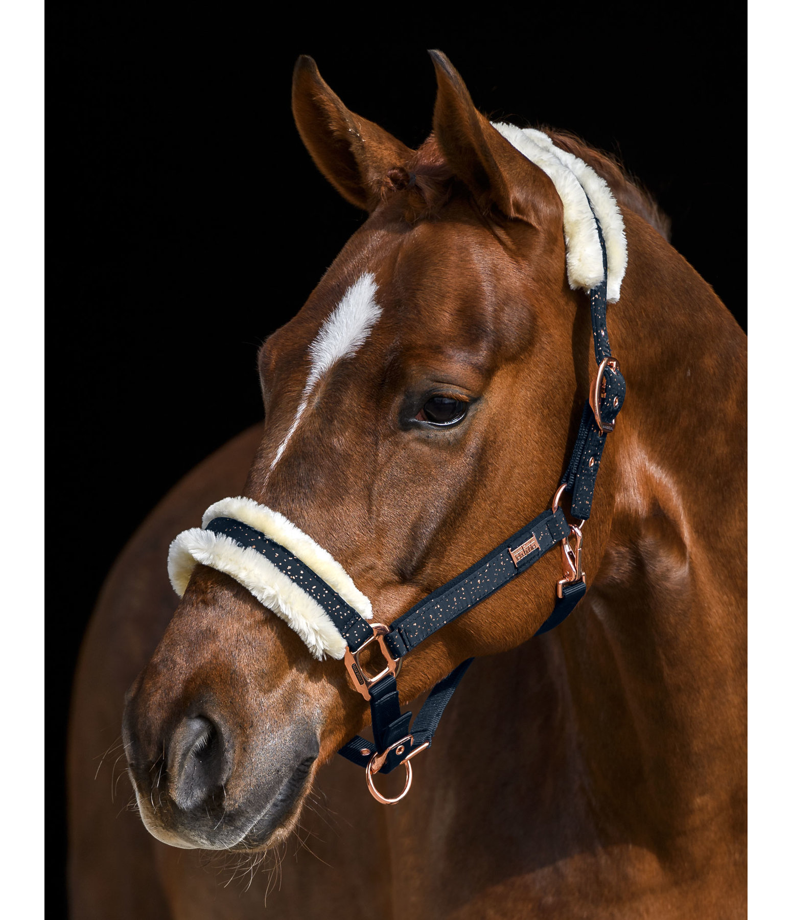 Headcollar Sparkling II