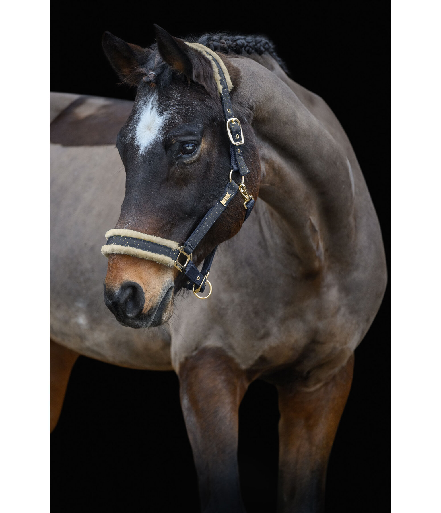 Headcollar Sparkling II