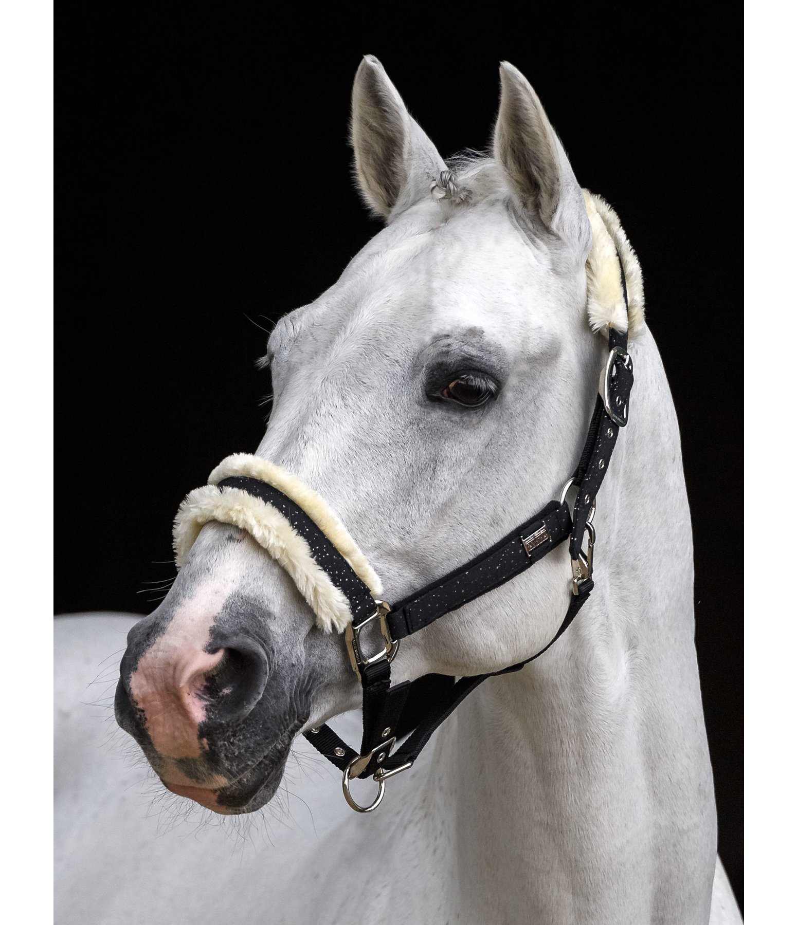 Headcollar Sparkling II