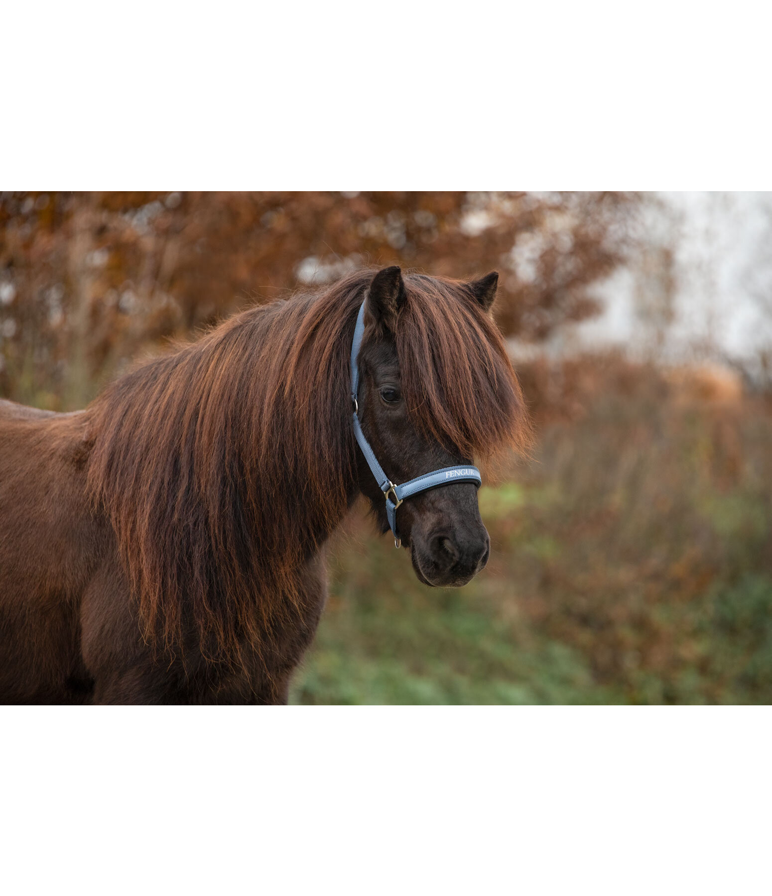 Headcollar Viktor