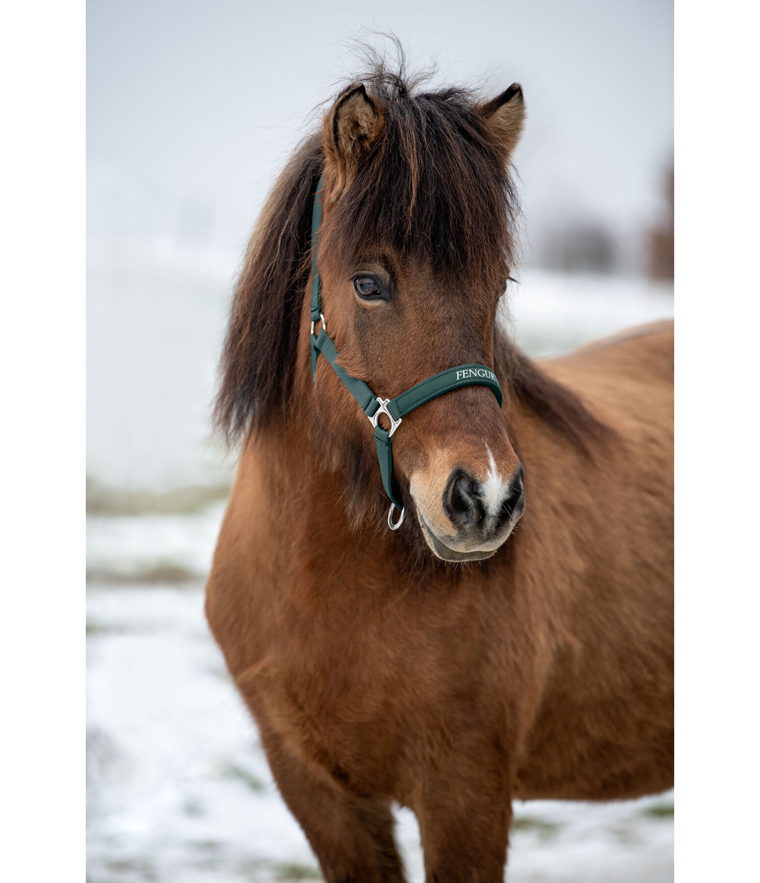 Headcollar Viktor