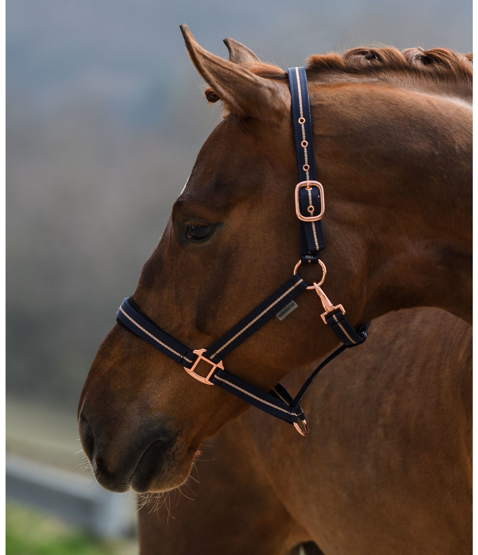 Headcollar Shimmering