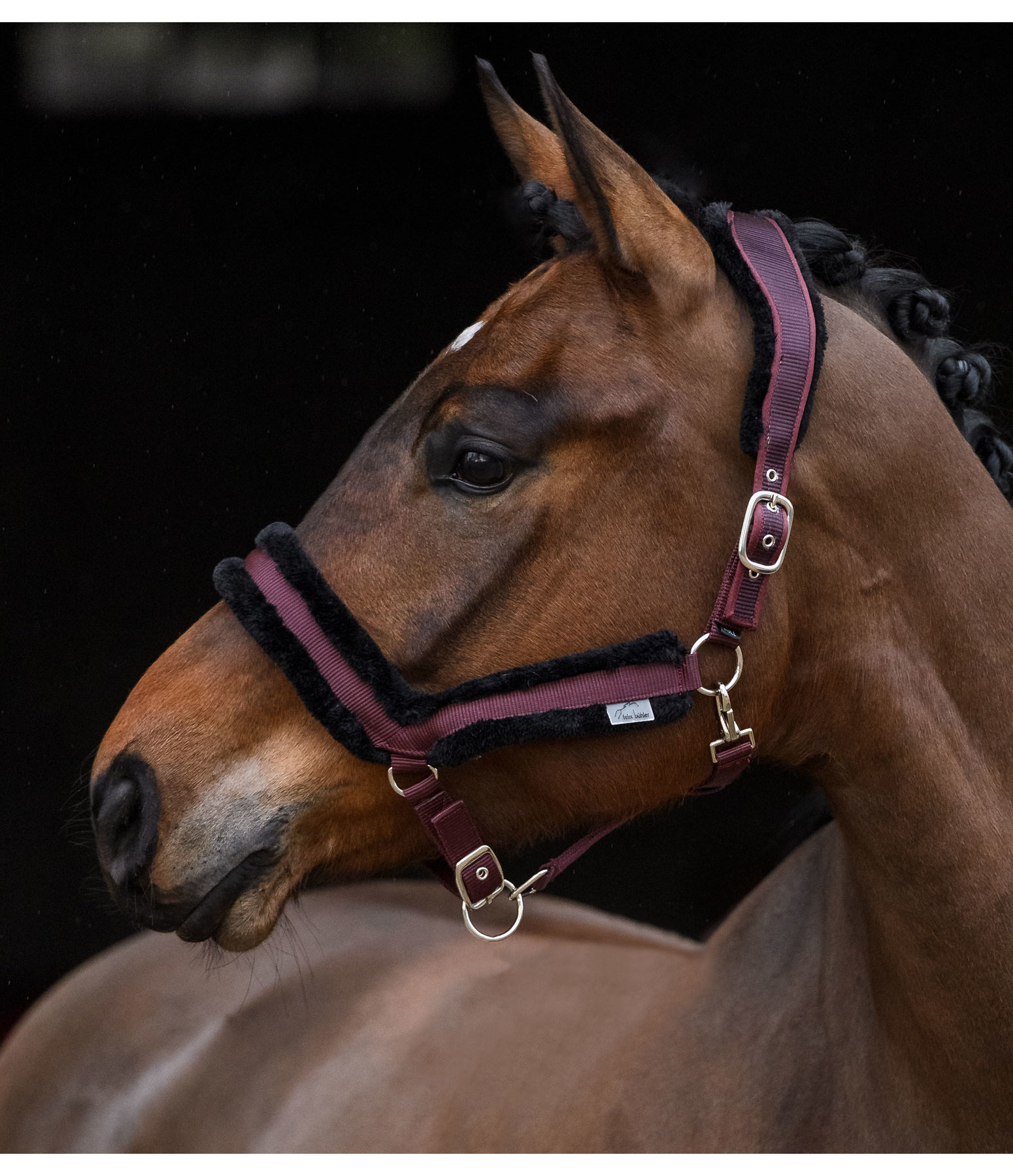 Teddy Fleece Headcollar Anatomical Relaxation