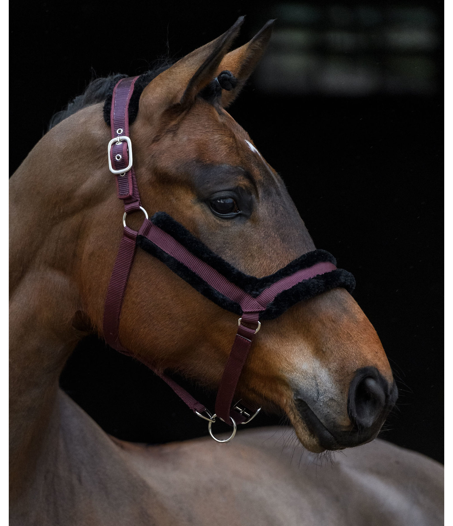 Teddy Fleece Headcollar Anatomical Relaxation
