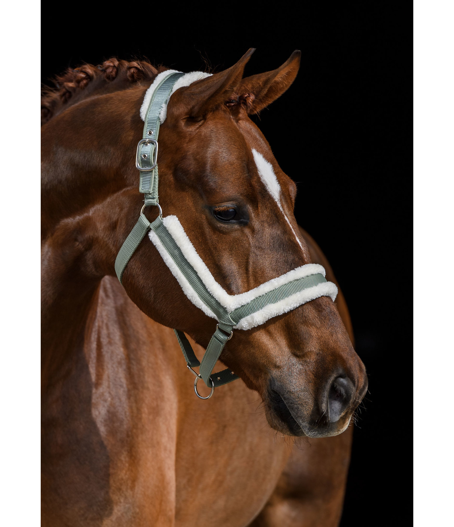 Teddy Fleece Headcollar Anatomical Relaxation