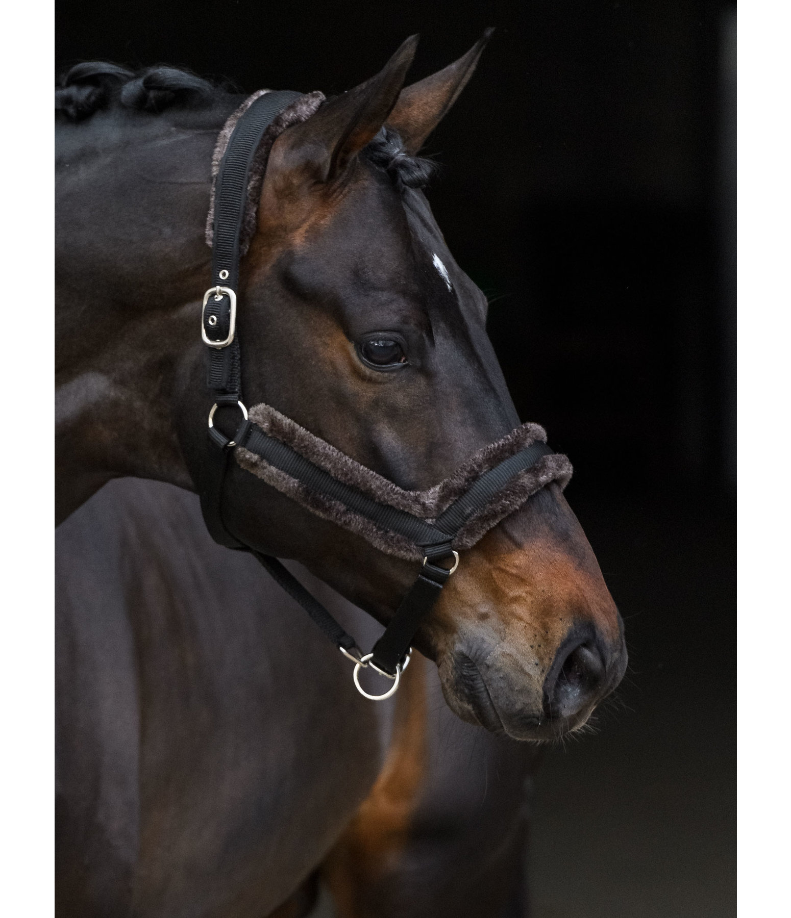 Teddy Fleece Headcollar Anatomical Relaxation
