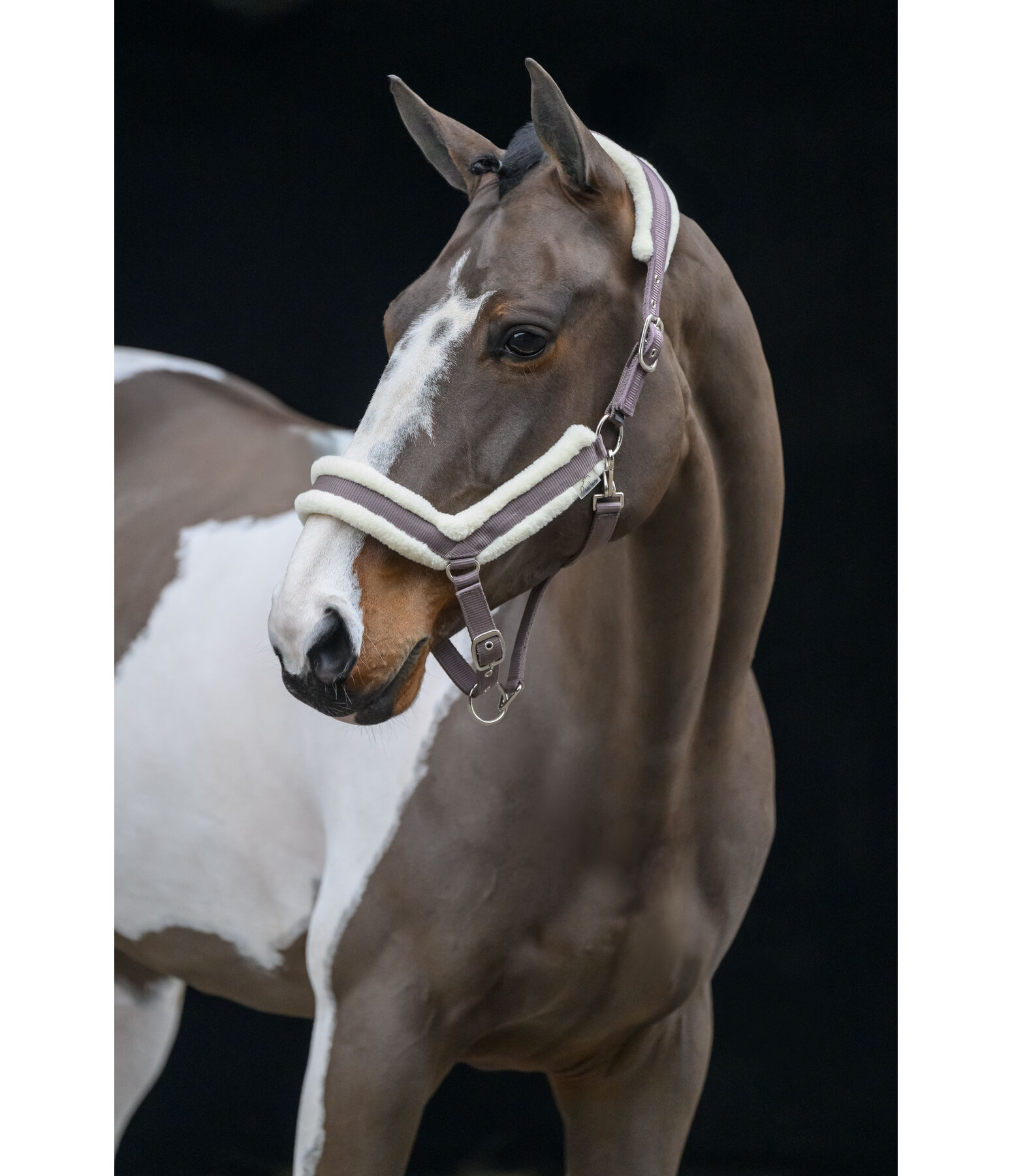 Teddy Fleece Headcollar Anatomical Relaxation
