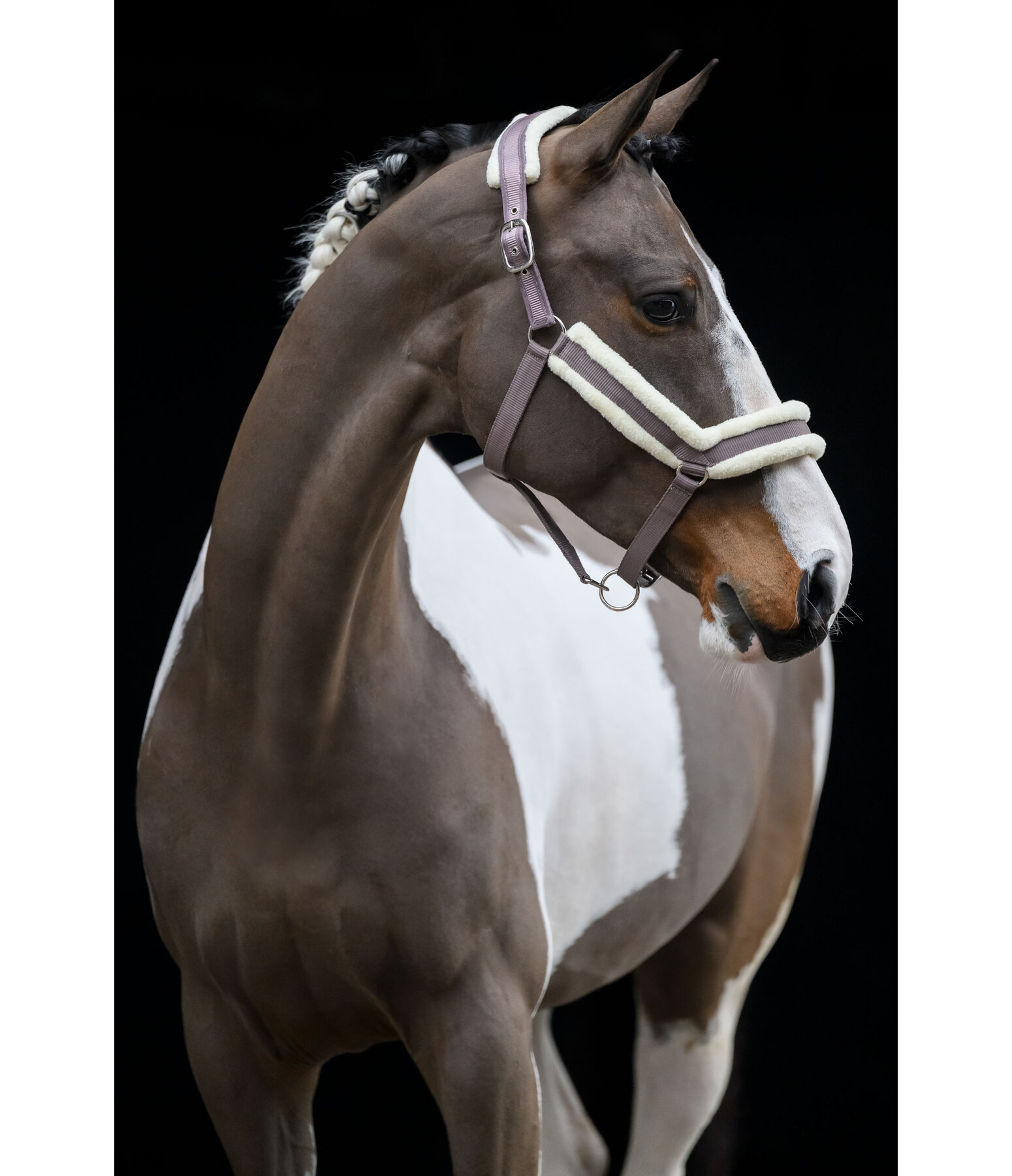 Teddy Fleece Headcollar Anatomical Relaxation