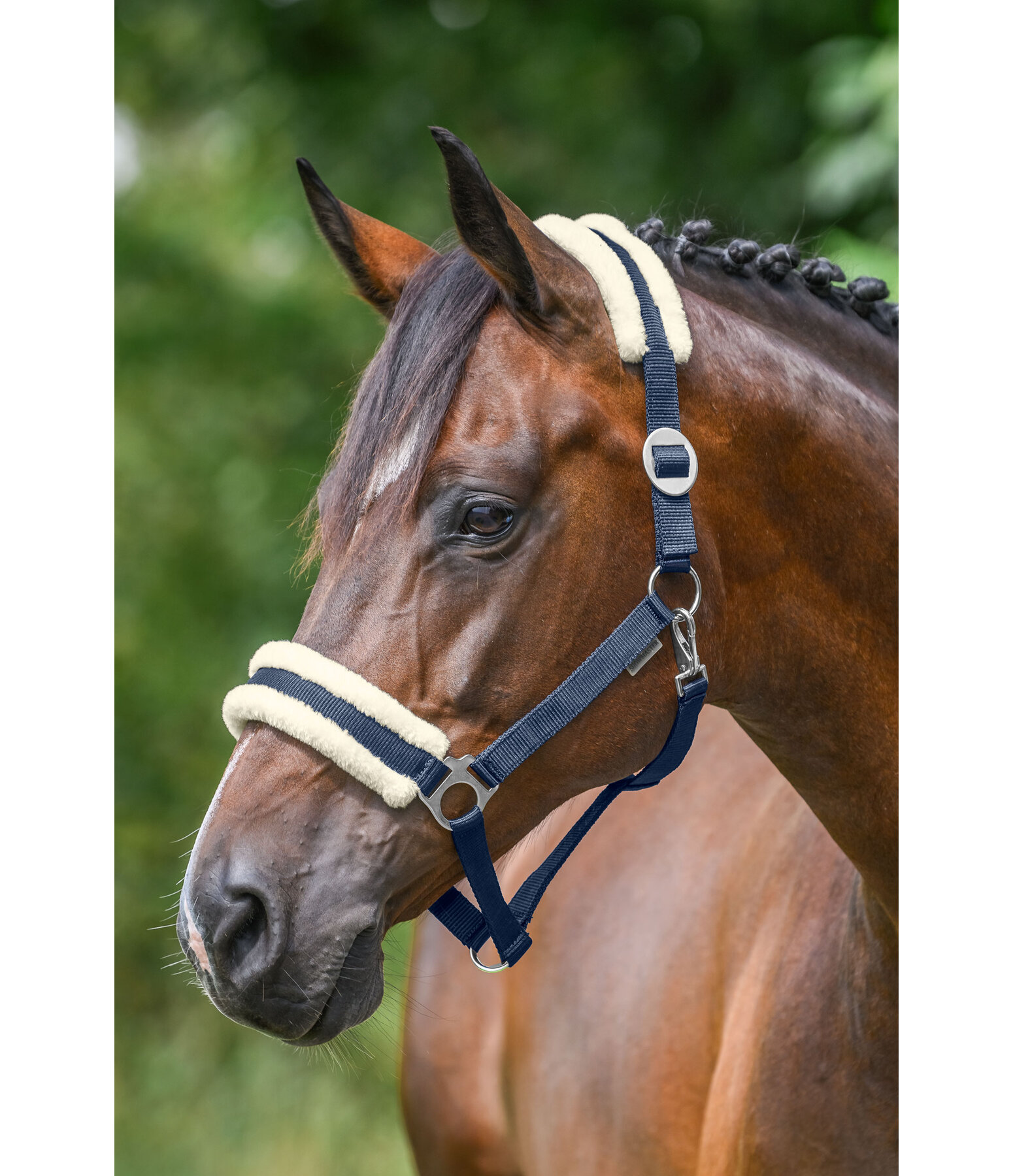 Teddy Fleece Headcollar Super Price III