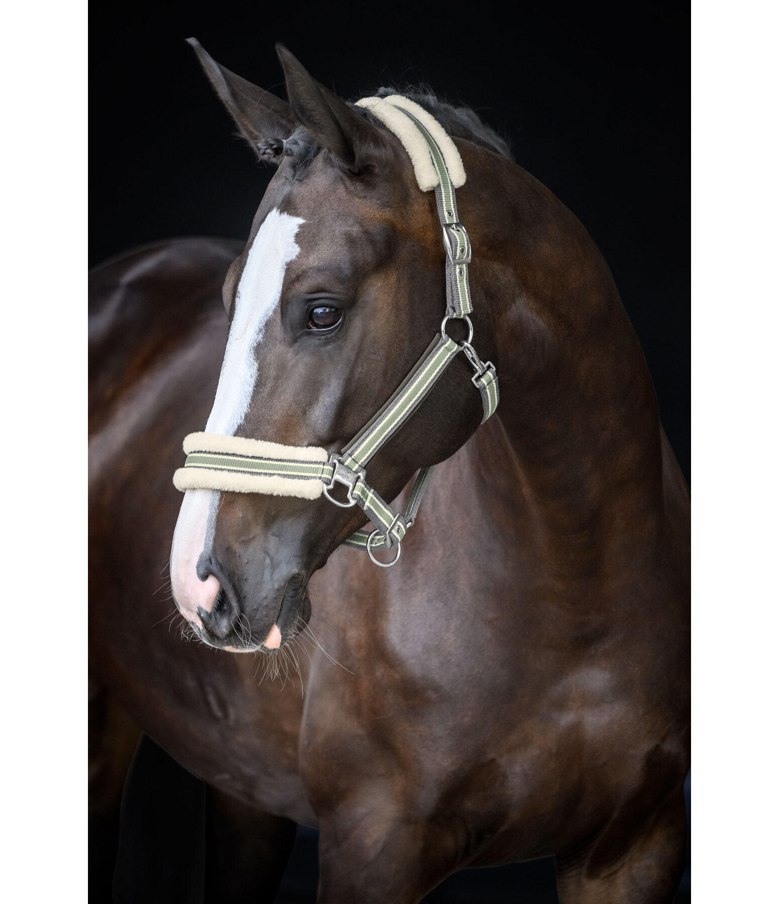 Teddy Fleece Headcollar Essential II