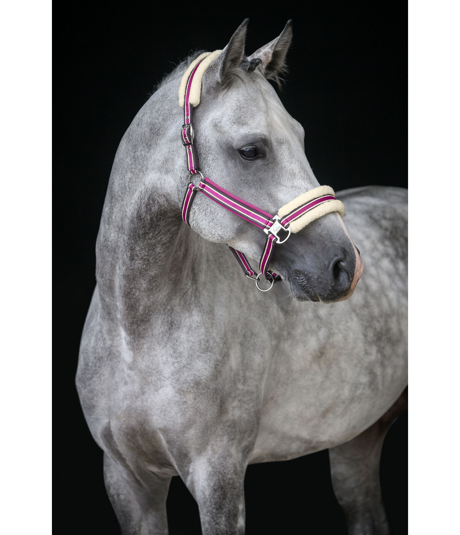 Teddy Fleece Headcollar Essential II