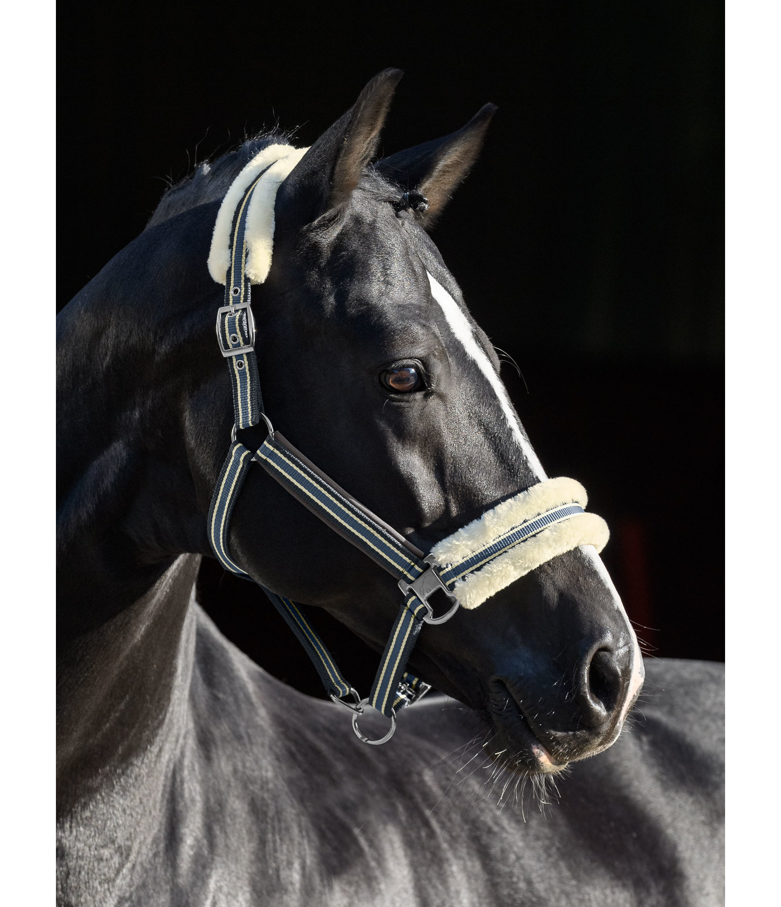 Teddy Fleece Headcollar Essential II