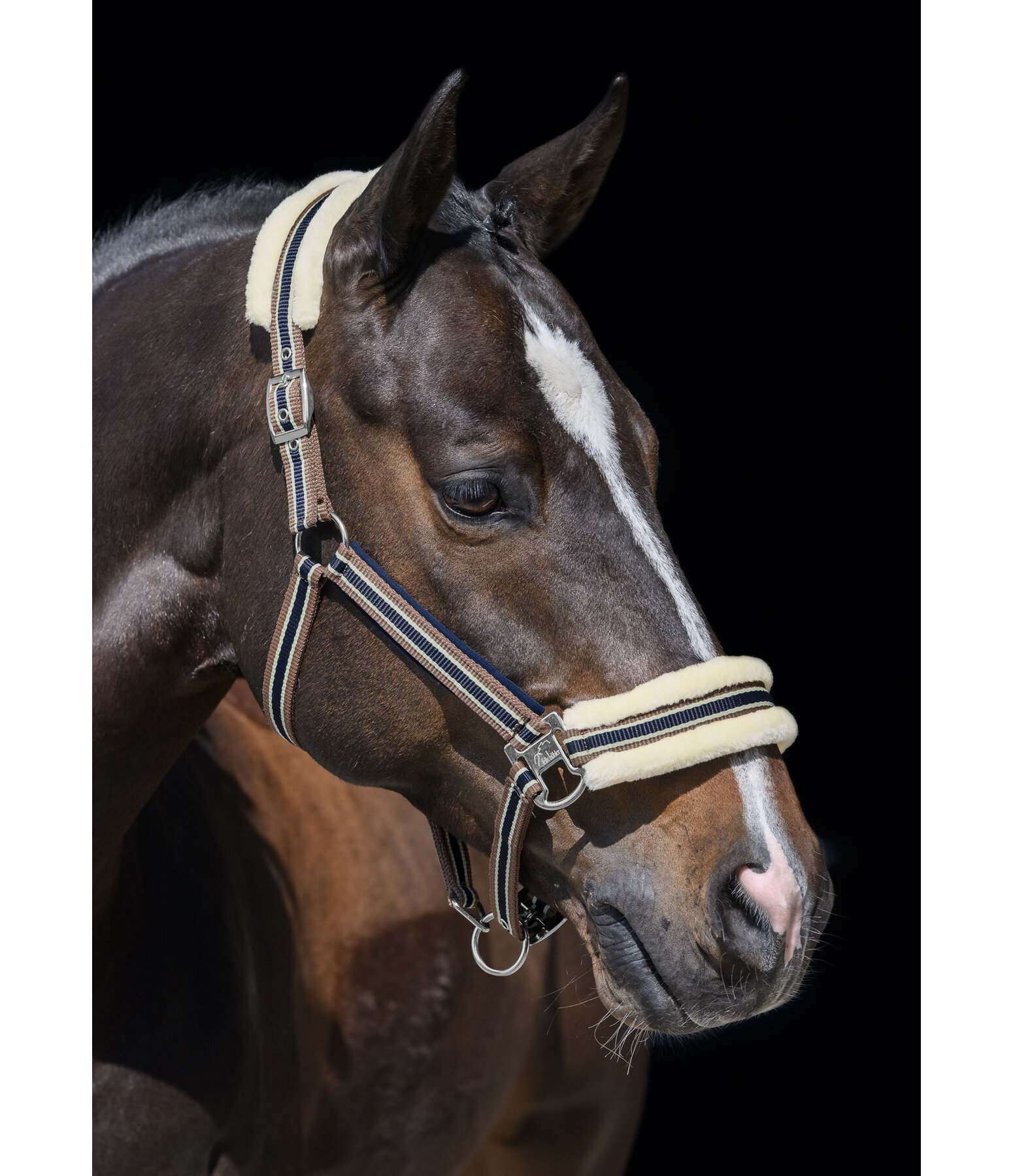 Teddy Fleece Headcollar Essential II