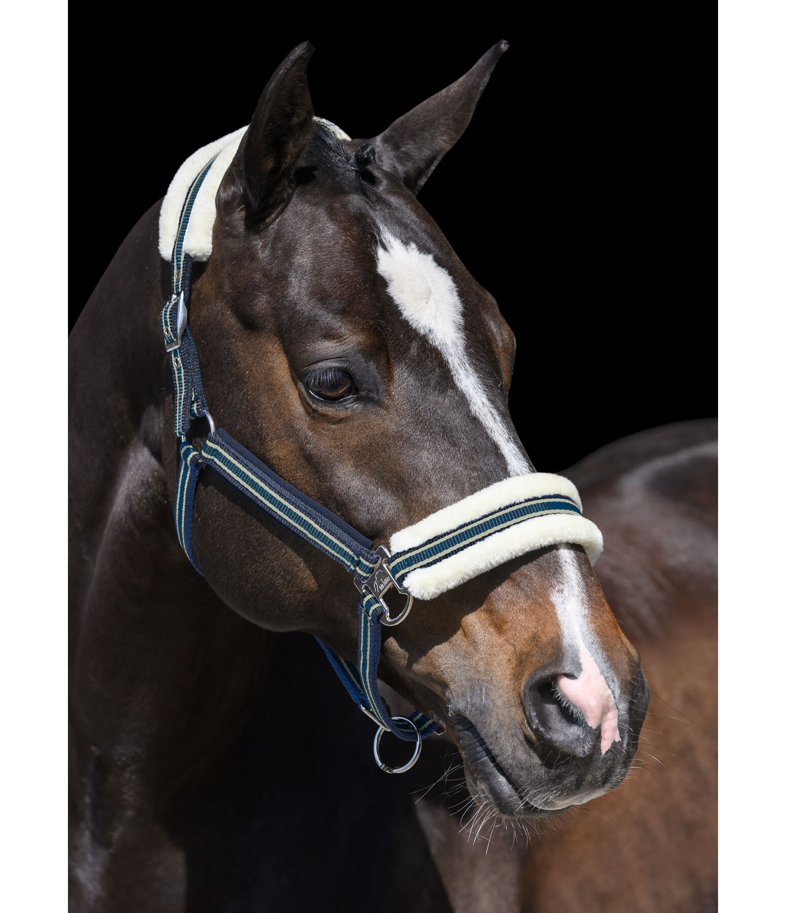 Teddy Fleece Headcollar Essential II