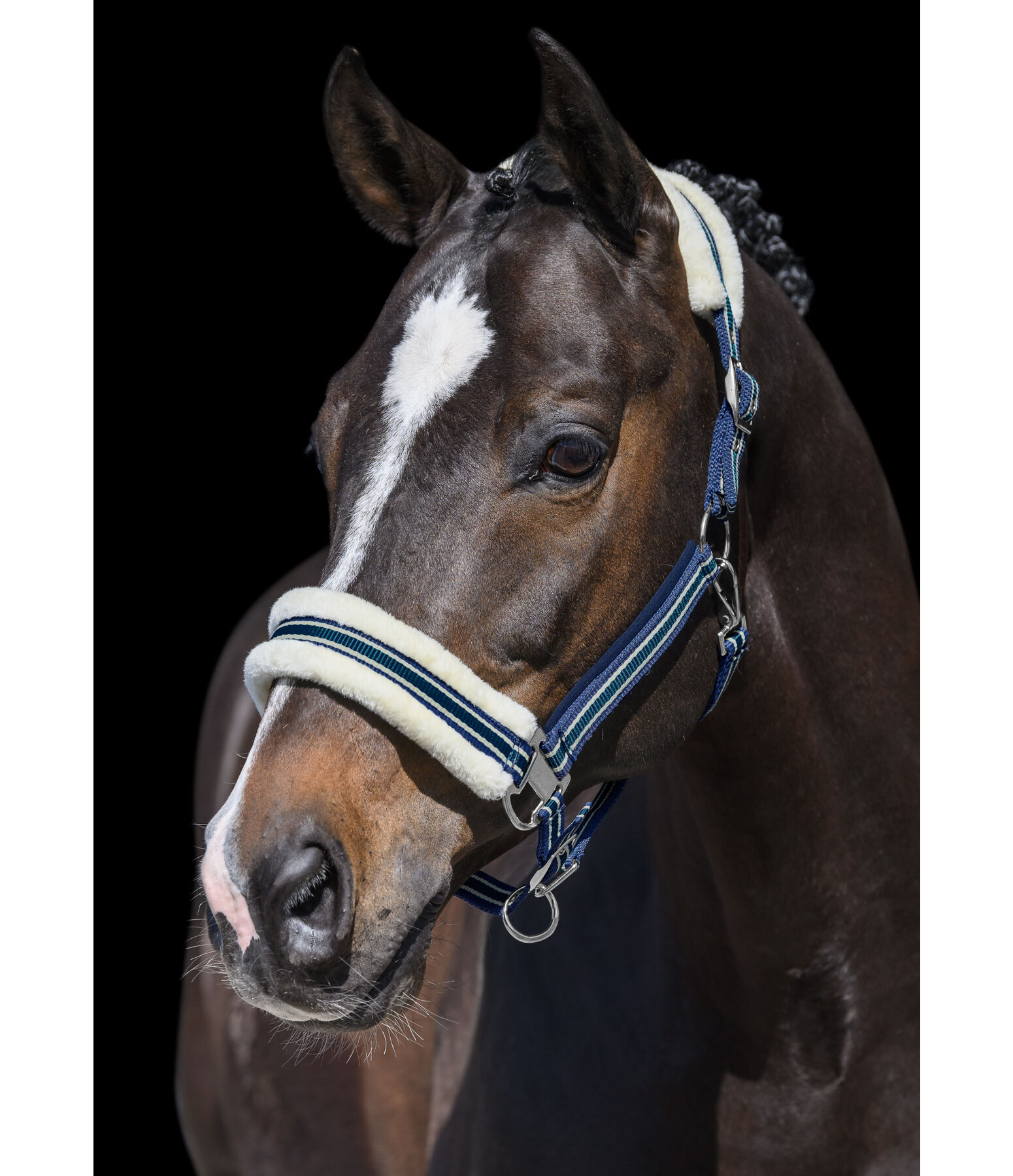 Teddy Fleece Headcollar Essential II