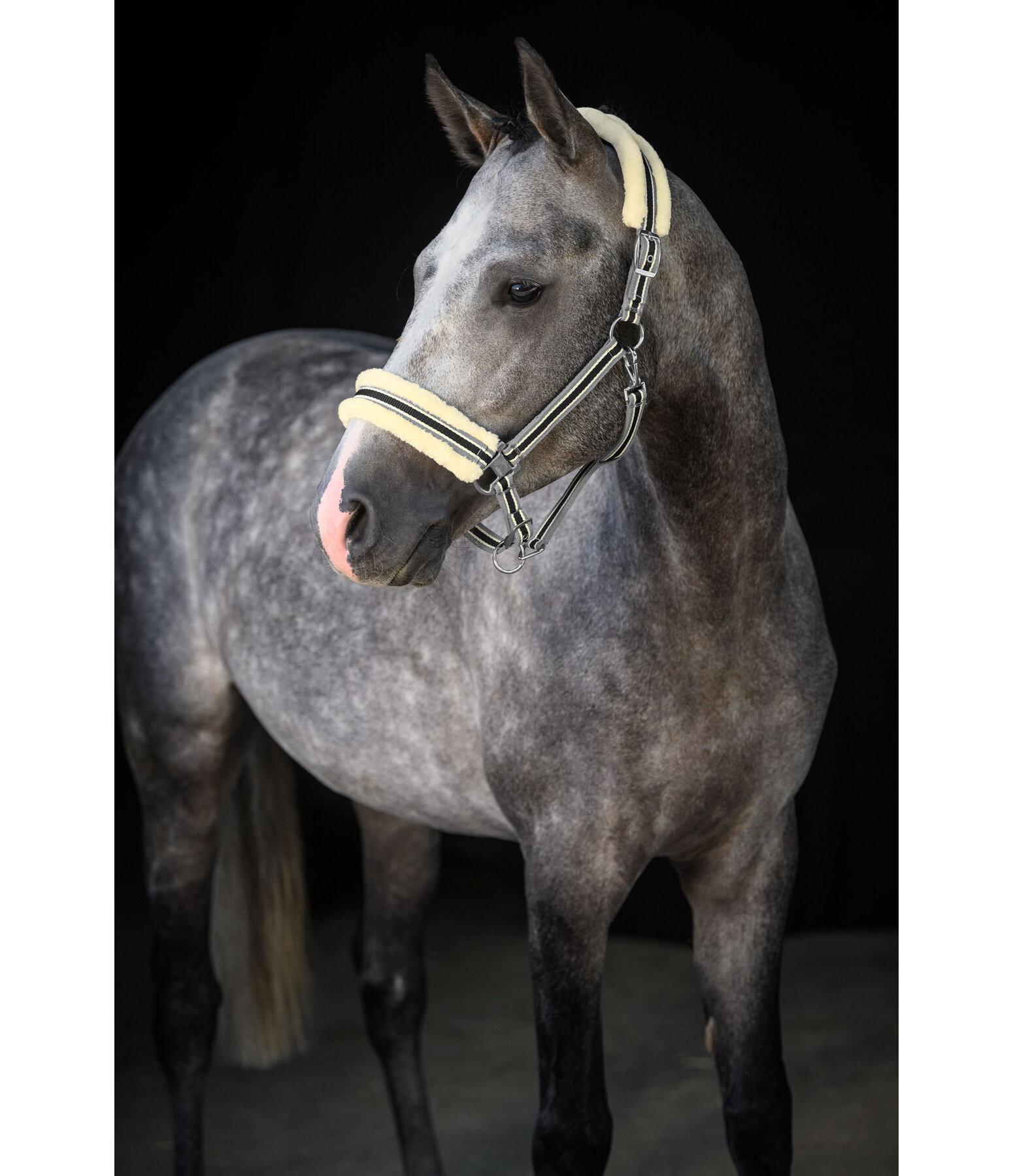 Teddy Fleece Headcollar Essential II