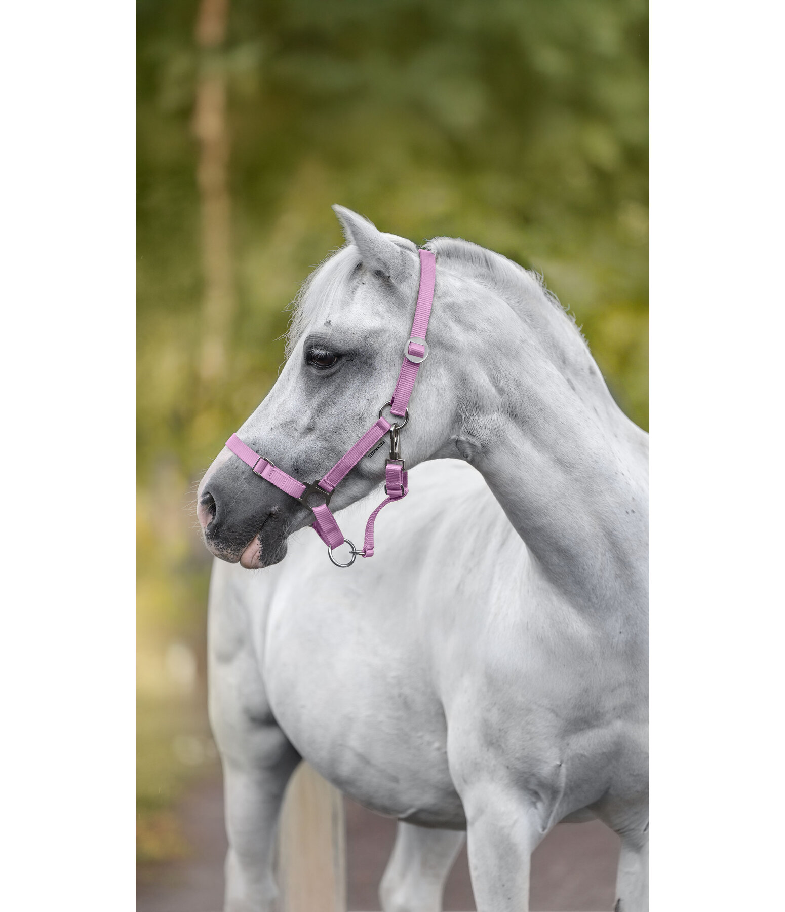 Foal and Shetland Pony Headcollar Grow With You