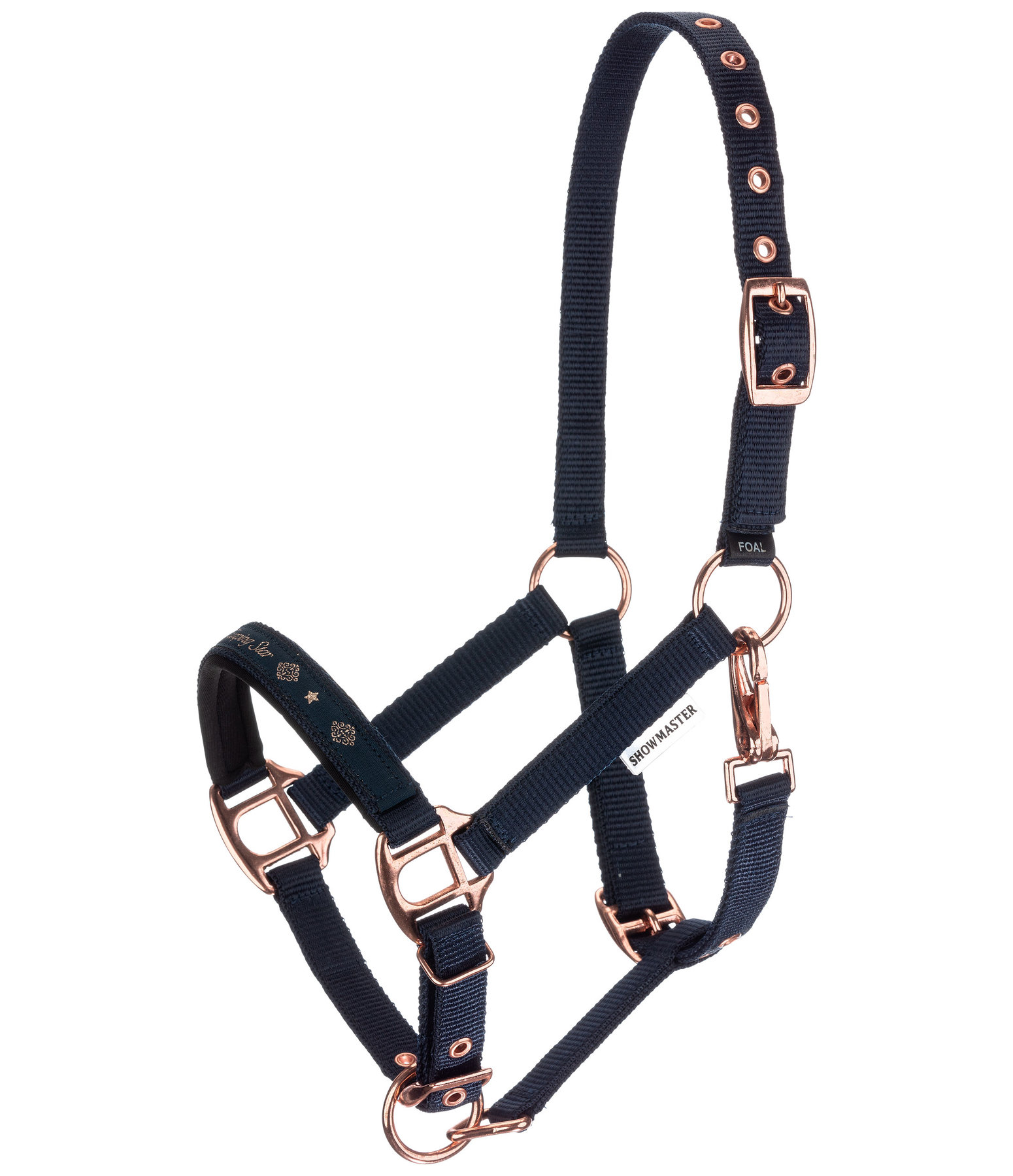 Foal and Shetland Pony Headcollar Future Star