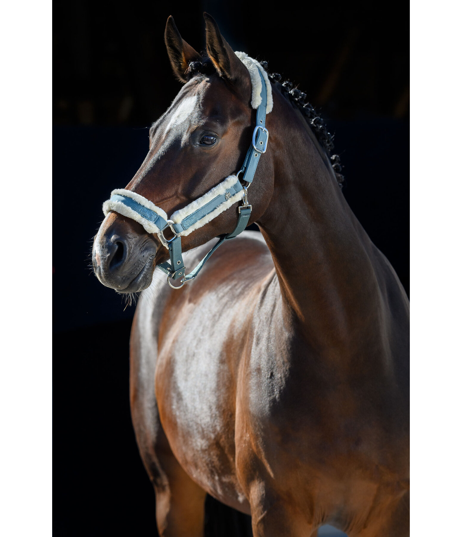 Headcollar Glitter Explosion