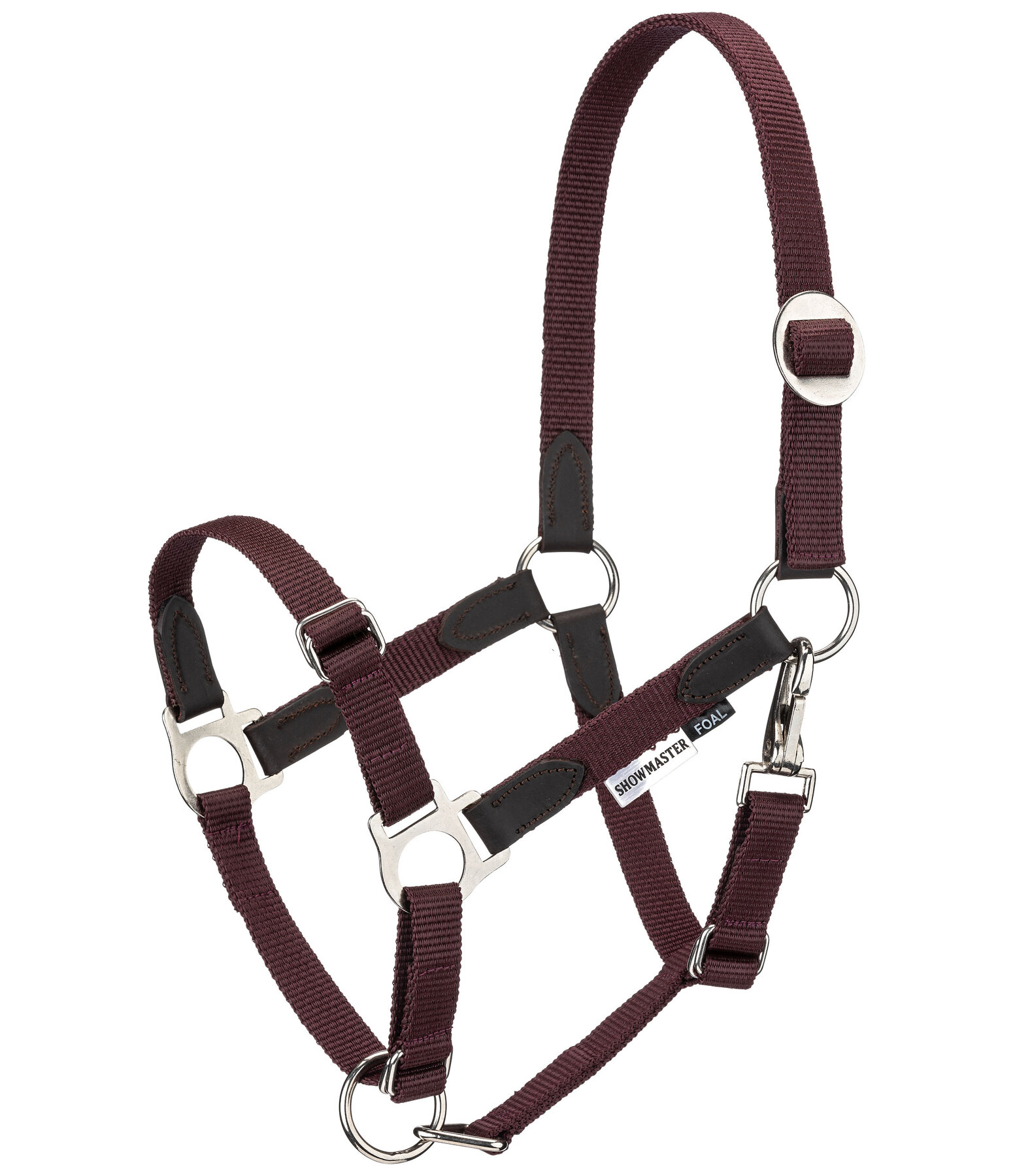 Foal & Shetland Pony Headcollar Katy