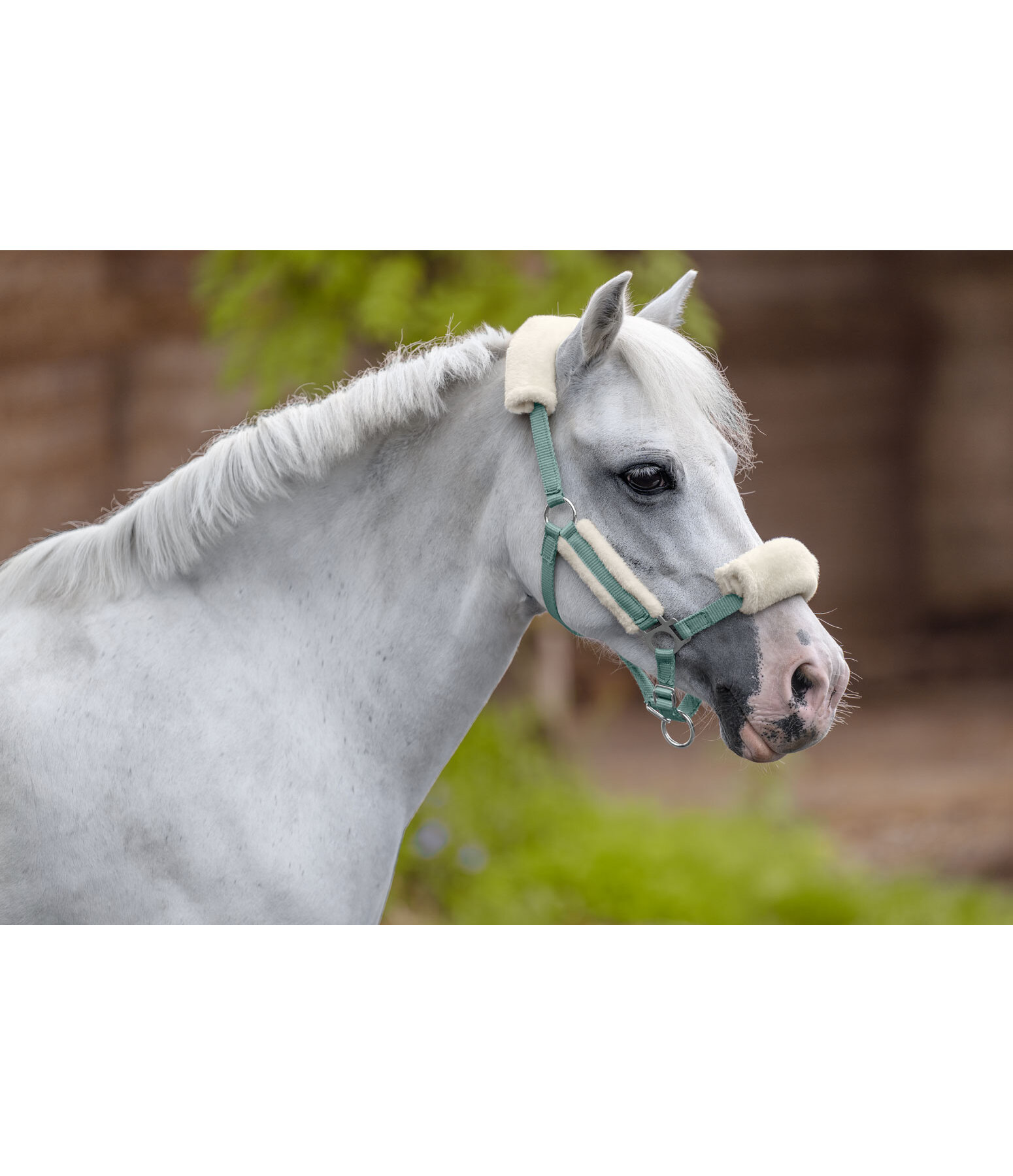 Foal & Shetland Pony Teddy Fleece Headcollar Cozy Adjustable