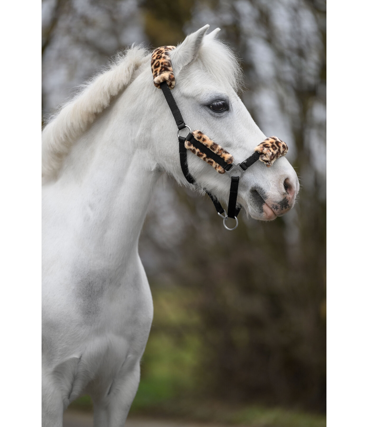 Foal & Shetland Pony Teddy Fleece Headcollar Cozy Adjustable