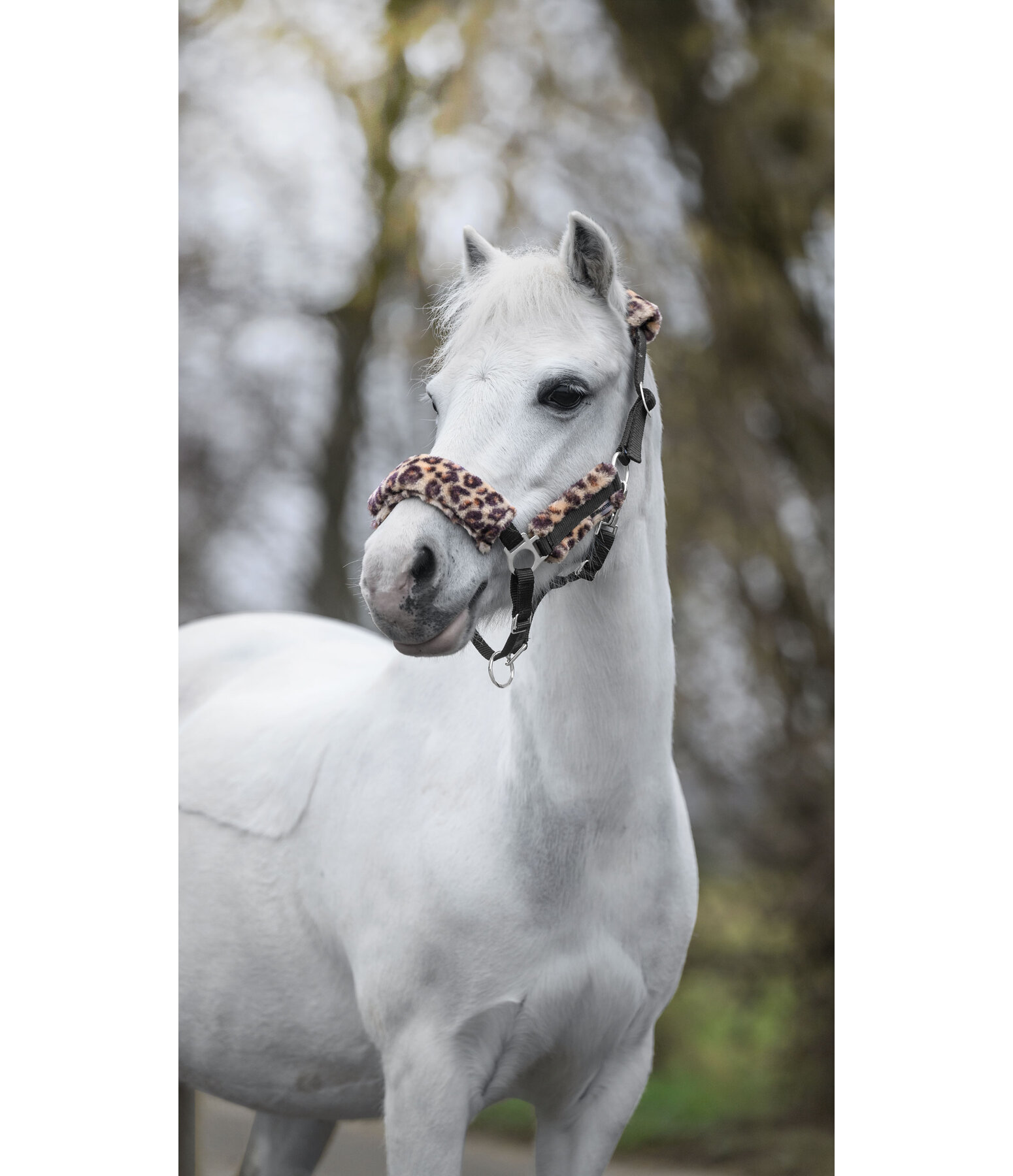 Foal & Shetland Pony Teddy Fleece Headcollar Cozy Adjustable