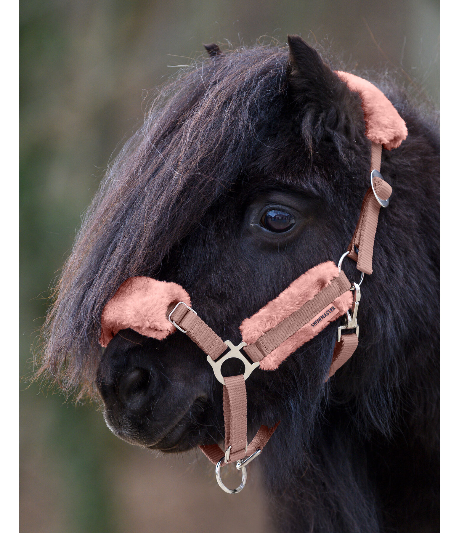 Foal & Shetland Pony Teddy Fleece Headcollar Cozy Adjustable