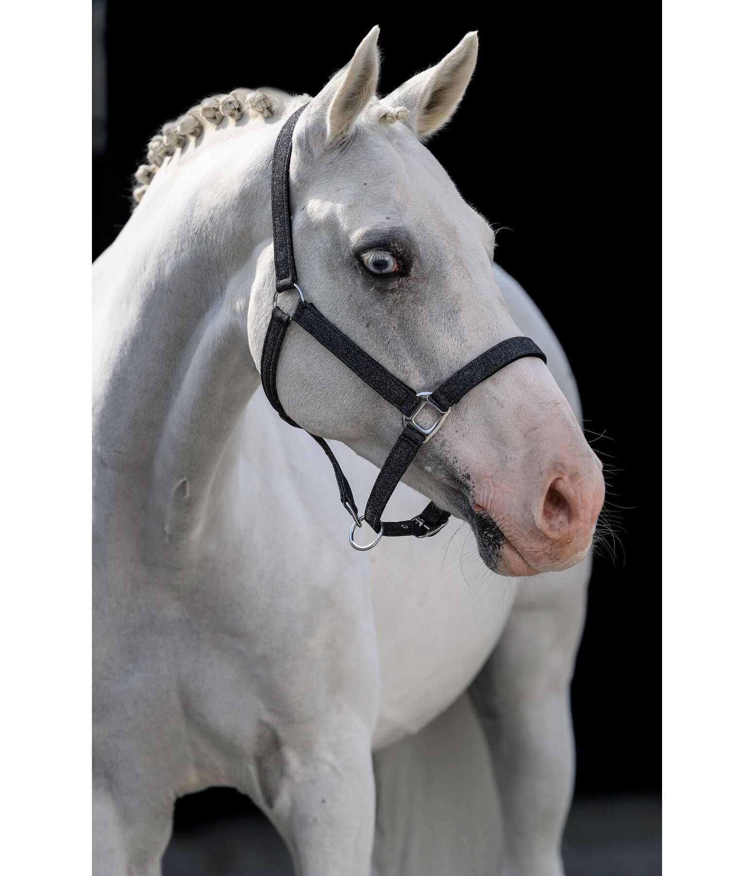 Headcollar Twinkle