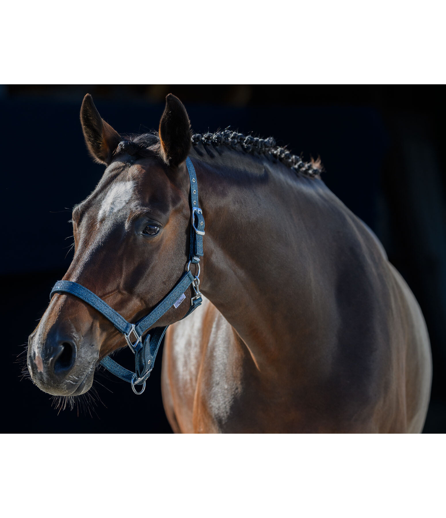 Headcollar Twinkle