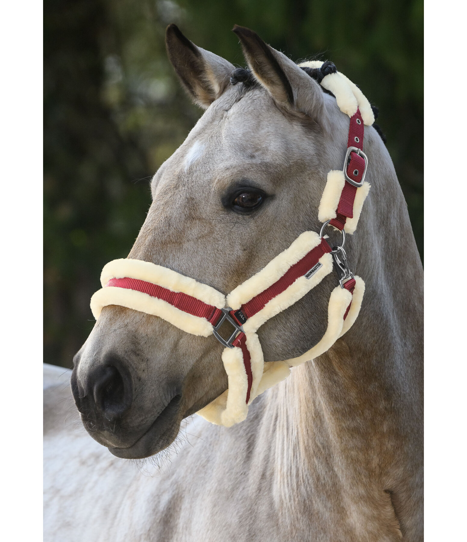 Teddyfleece Headcollar Cuddly