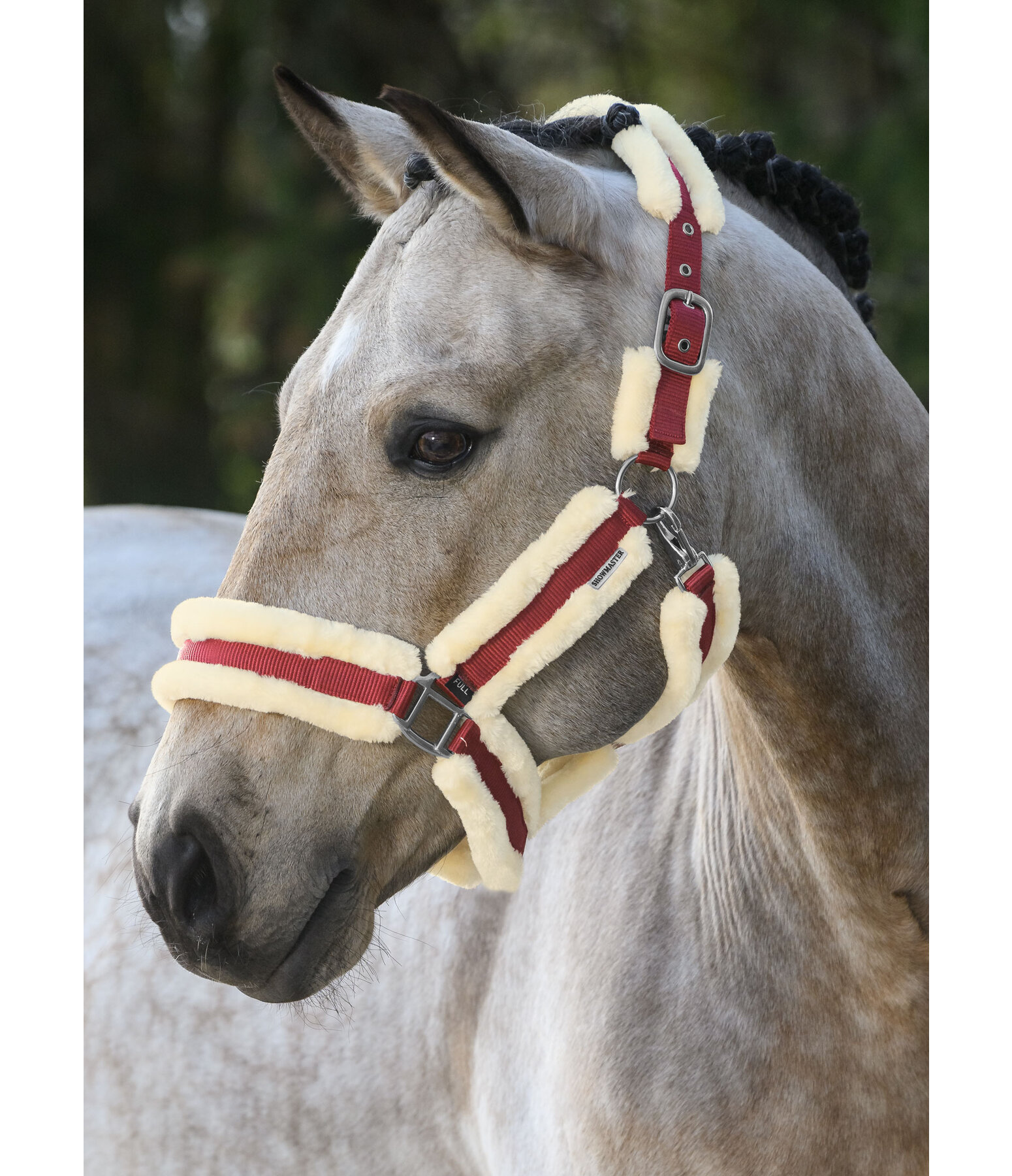 Teddyfleece Headcollar Cuddly