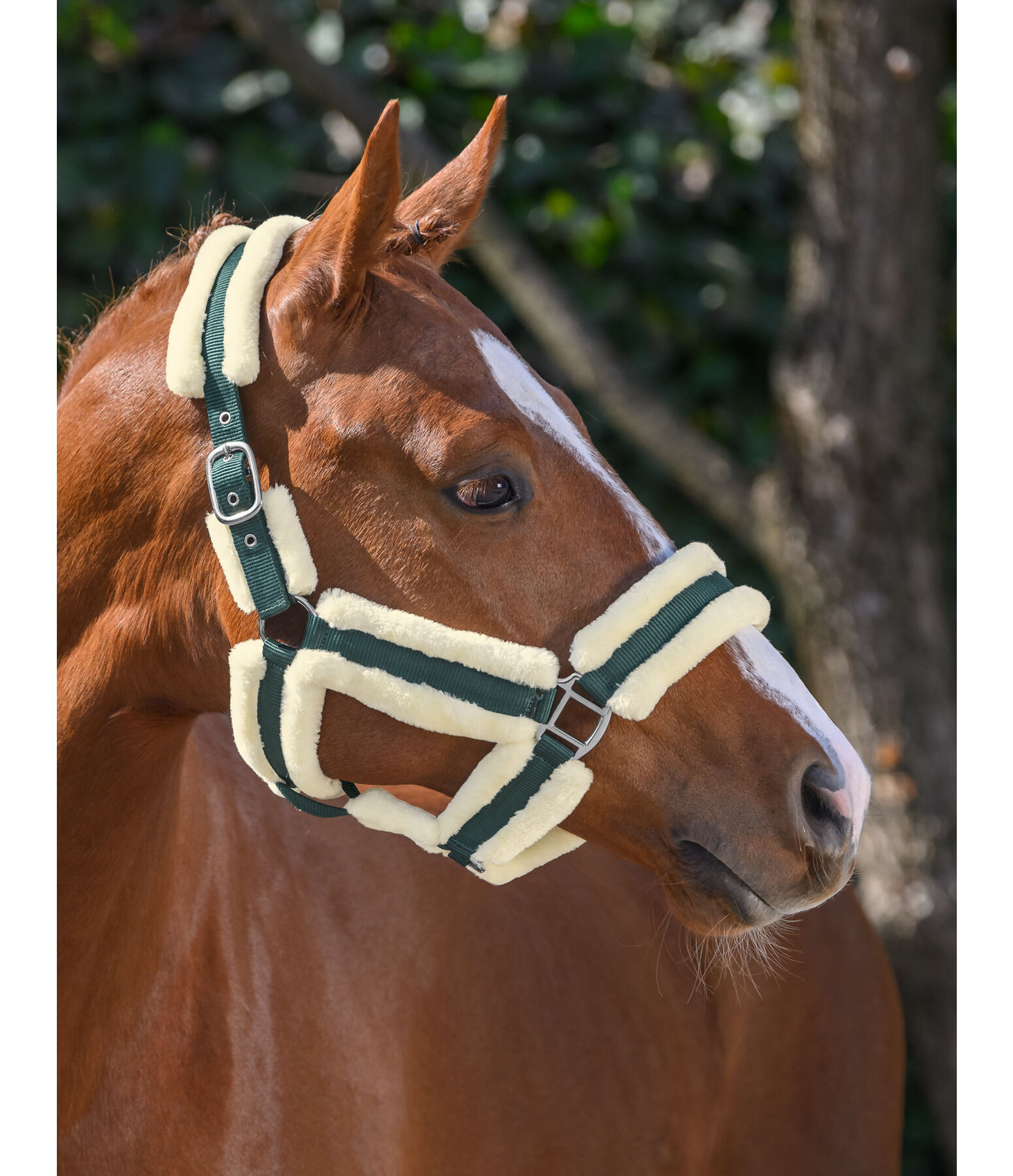 Teddyfleece Headcollar Cuddly