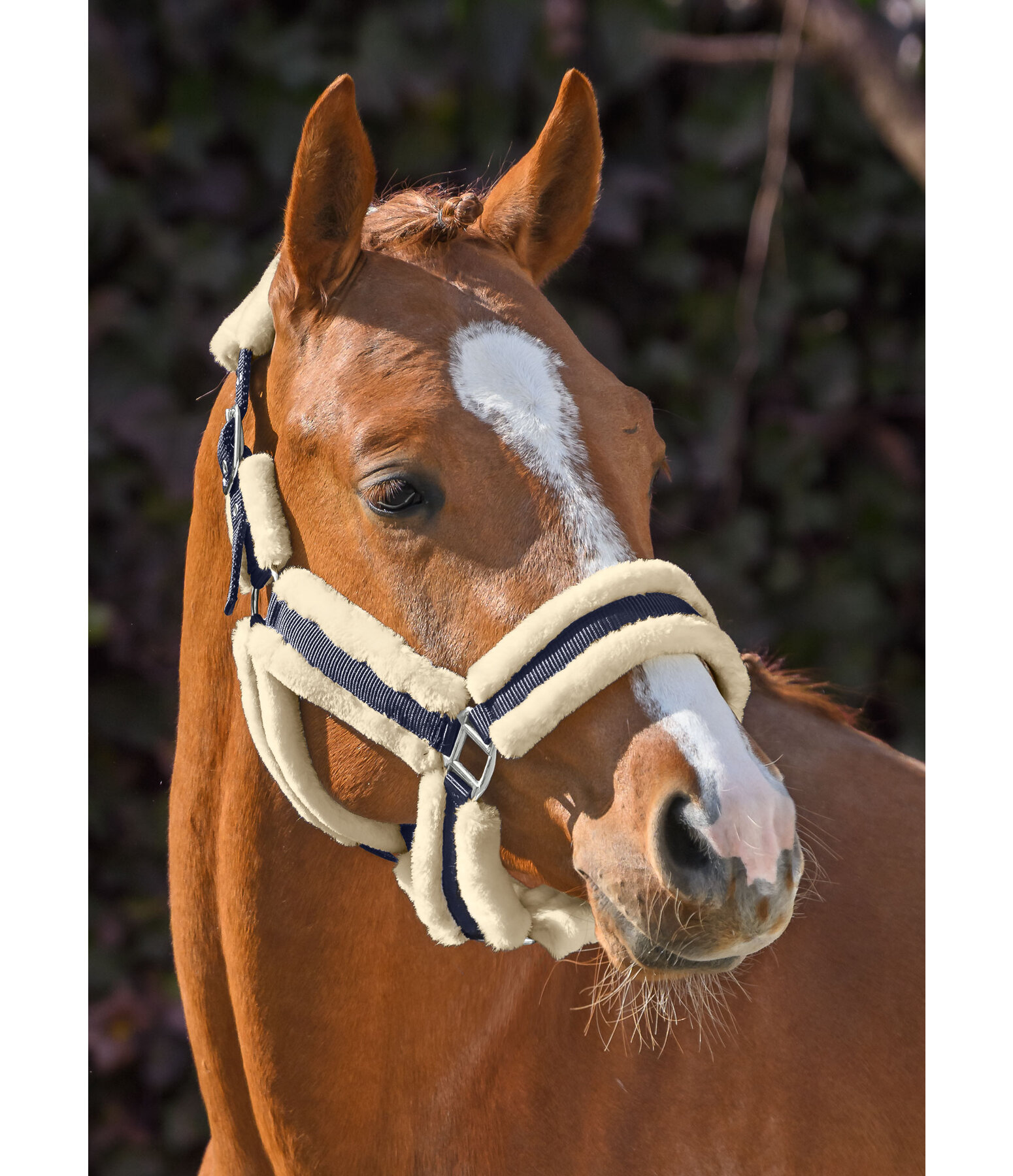 Teddyfleece Headcollar Cuddly