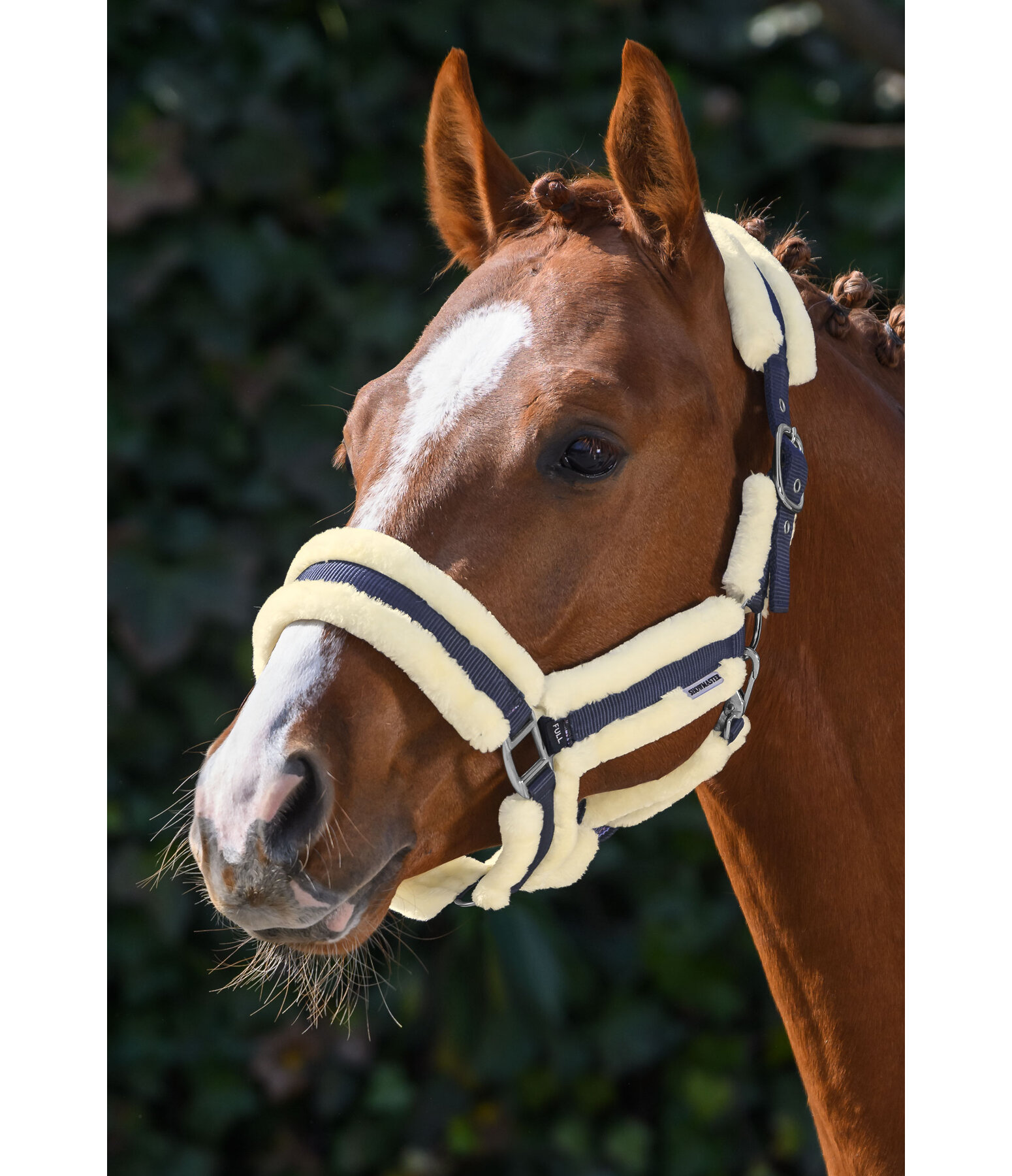 Teddyfleece Headcollar Cuddly