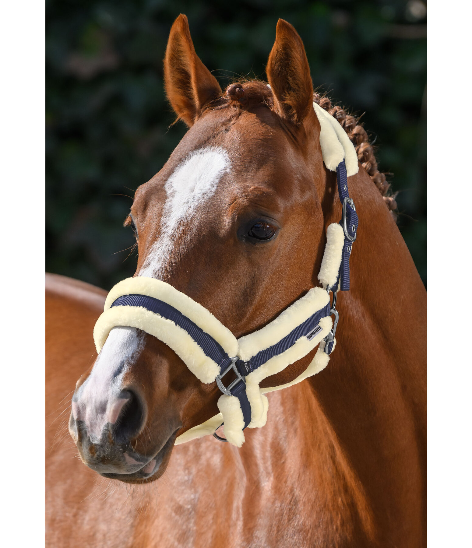 Teddyfleece Headcollar Cuddly