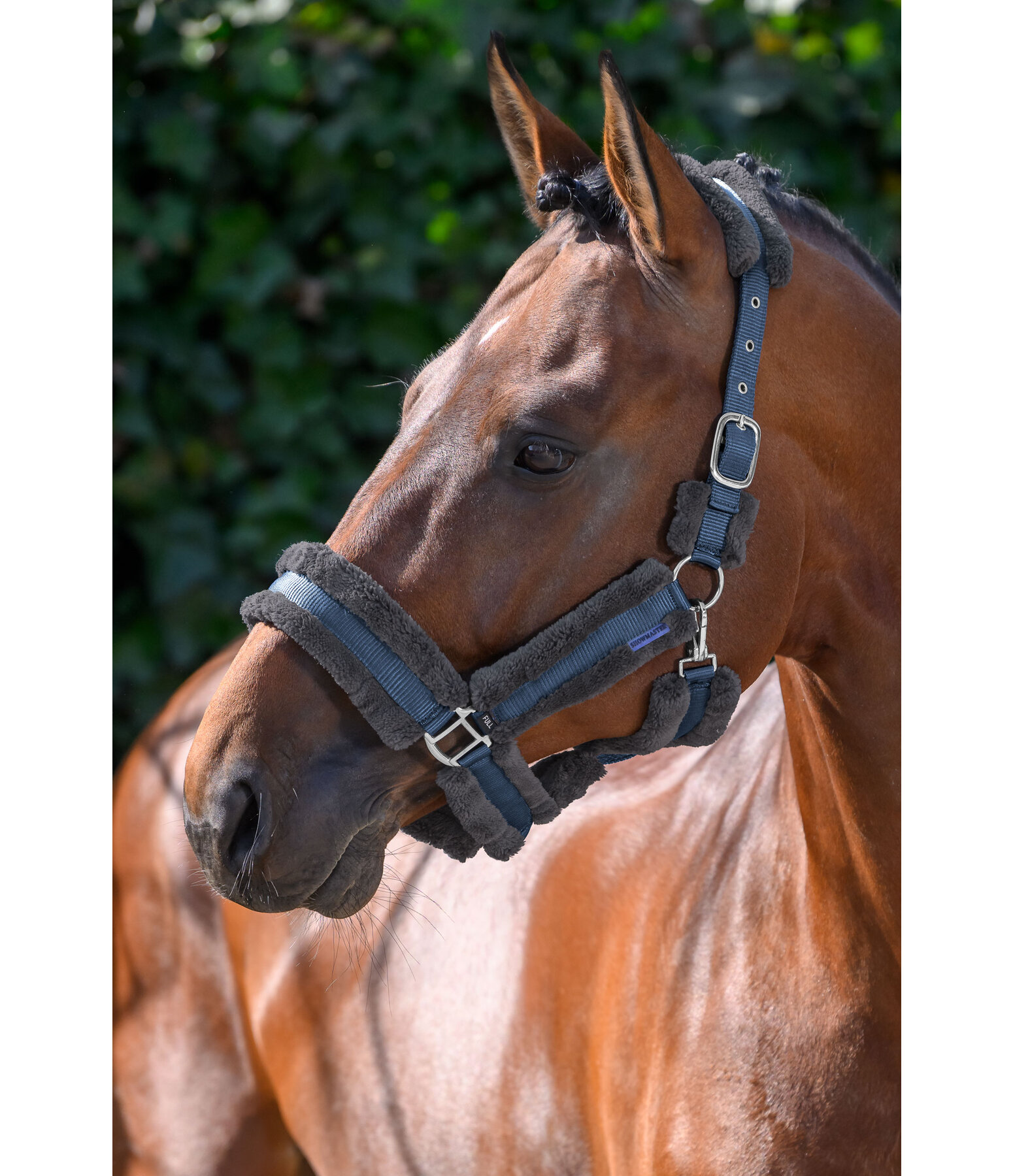 Teddyfleece Headcollar Cuddly