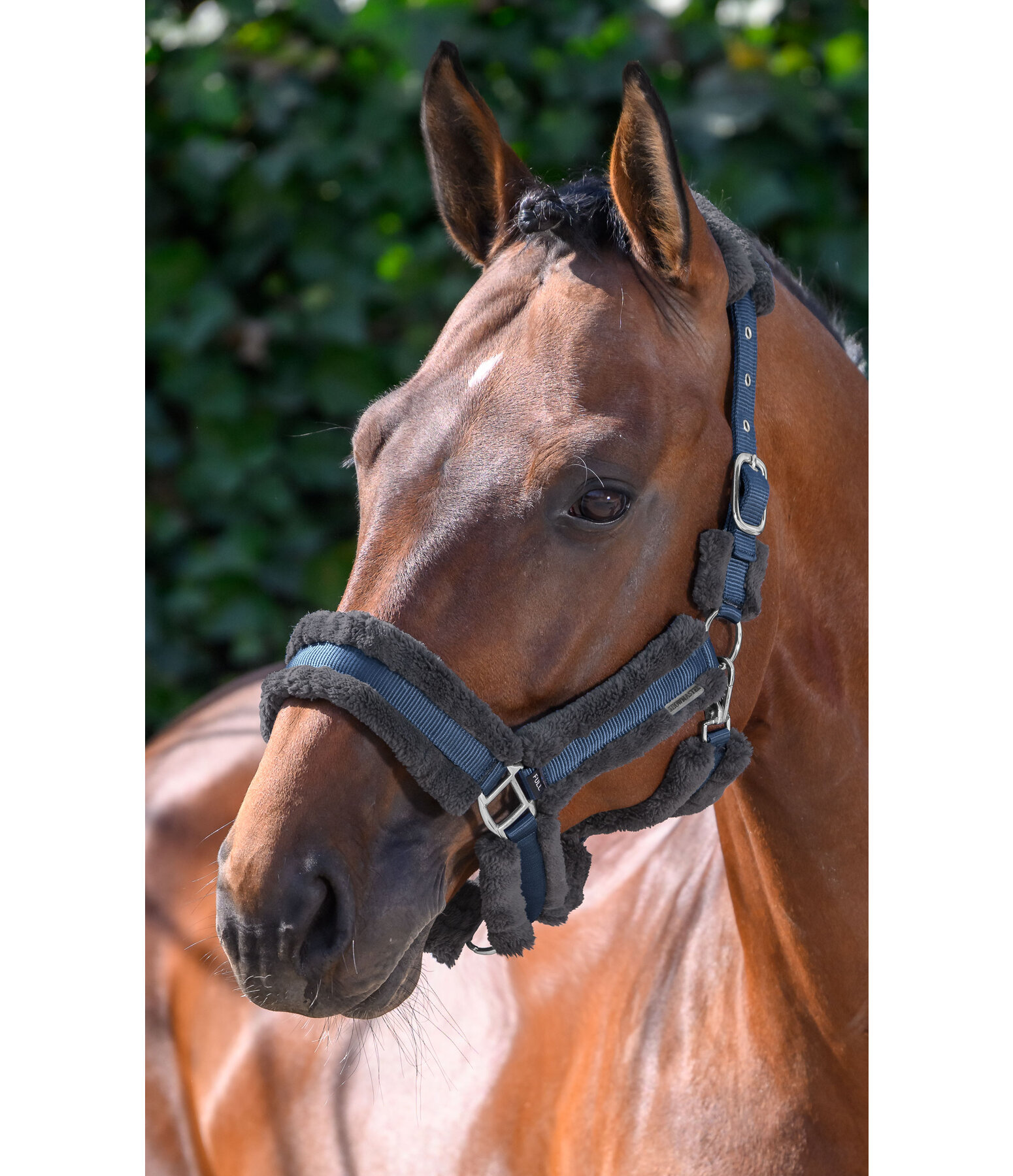 Teddyfleece Headcollar Cuddly