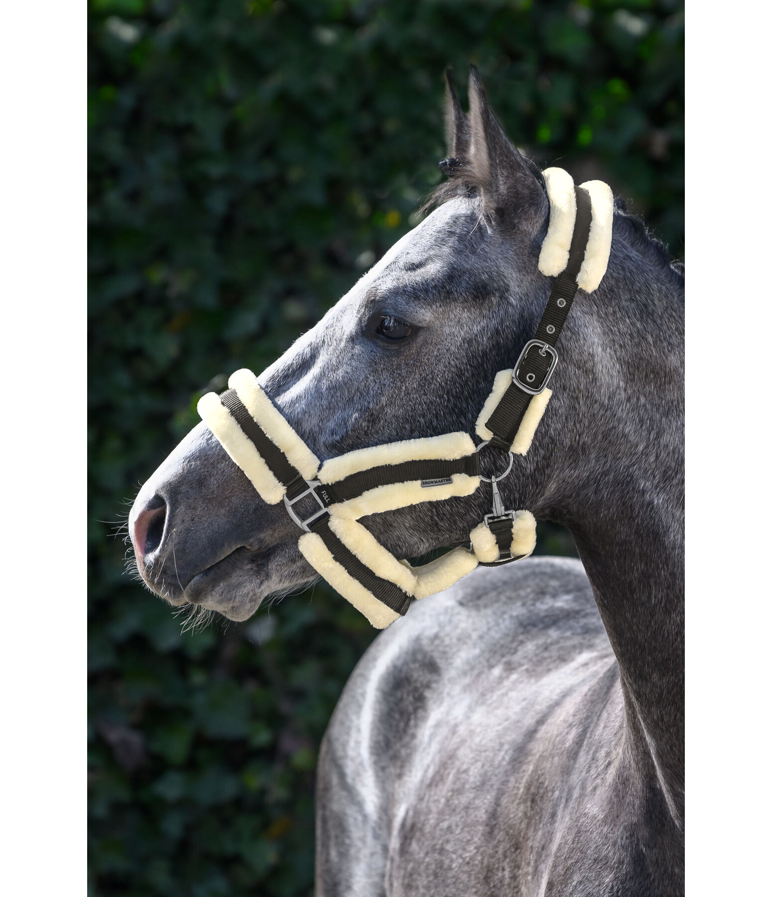 Teddyfleece Headcollar Cuddly